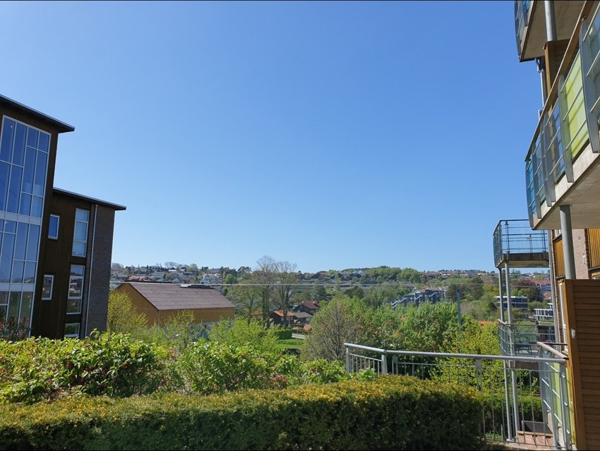 Selgers sommerbilde Galleribilde