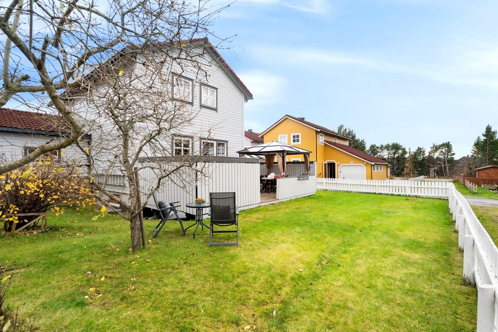 Plommer, rips og solbær vokser i bakhagen. Galleribilde