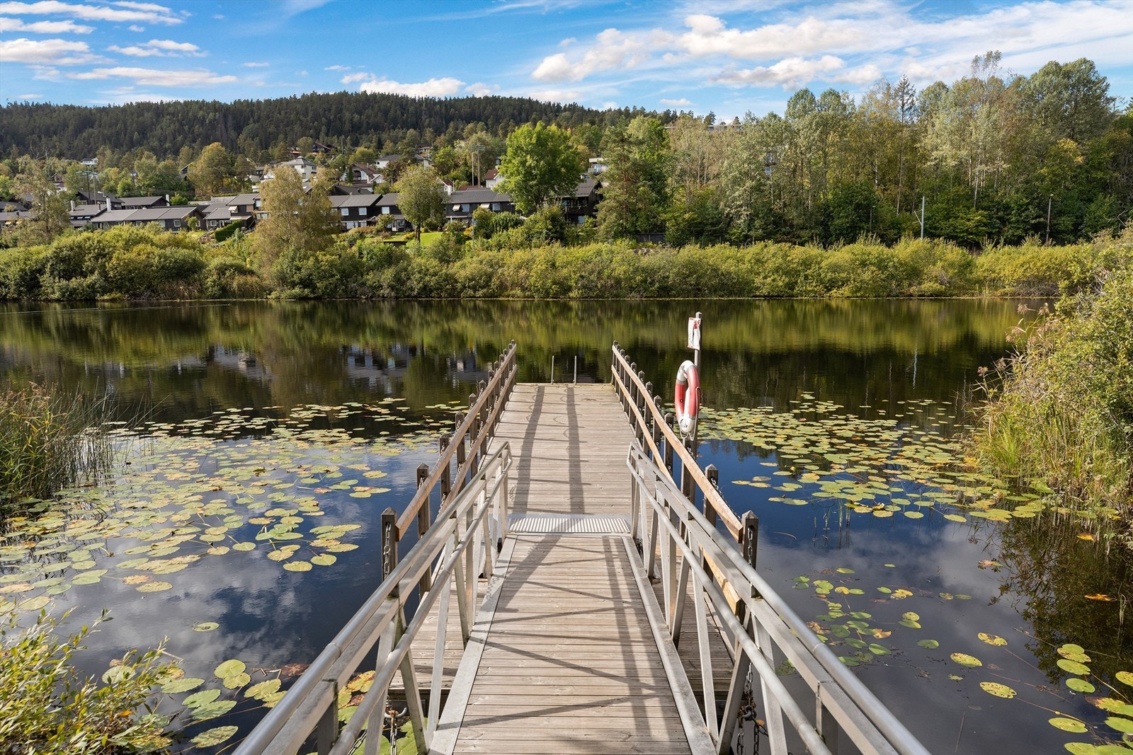 Brygga ved Bondivannet om sommeren. Galleribilde