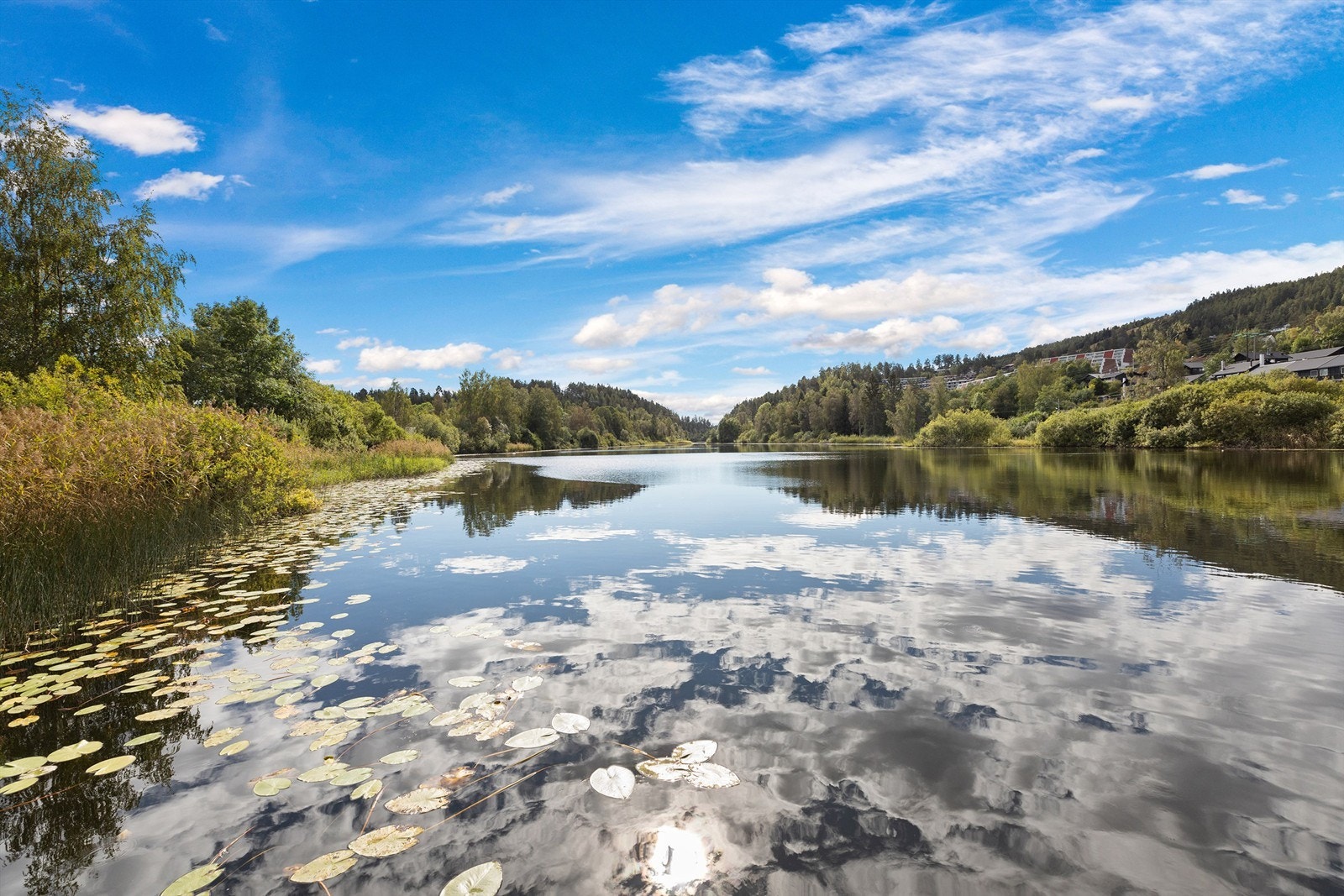 Bondivannet om sommeren. Galleribilde
