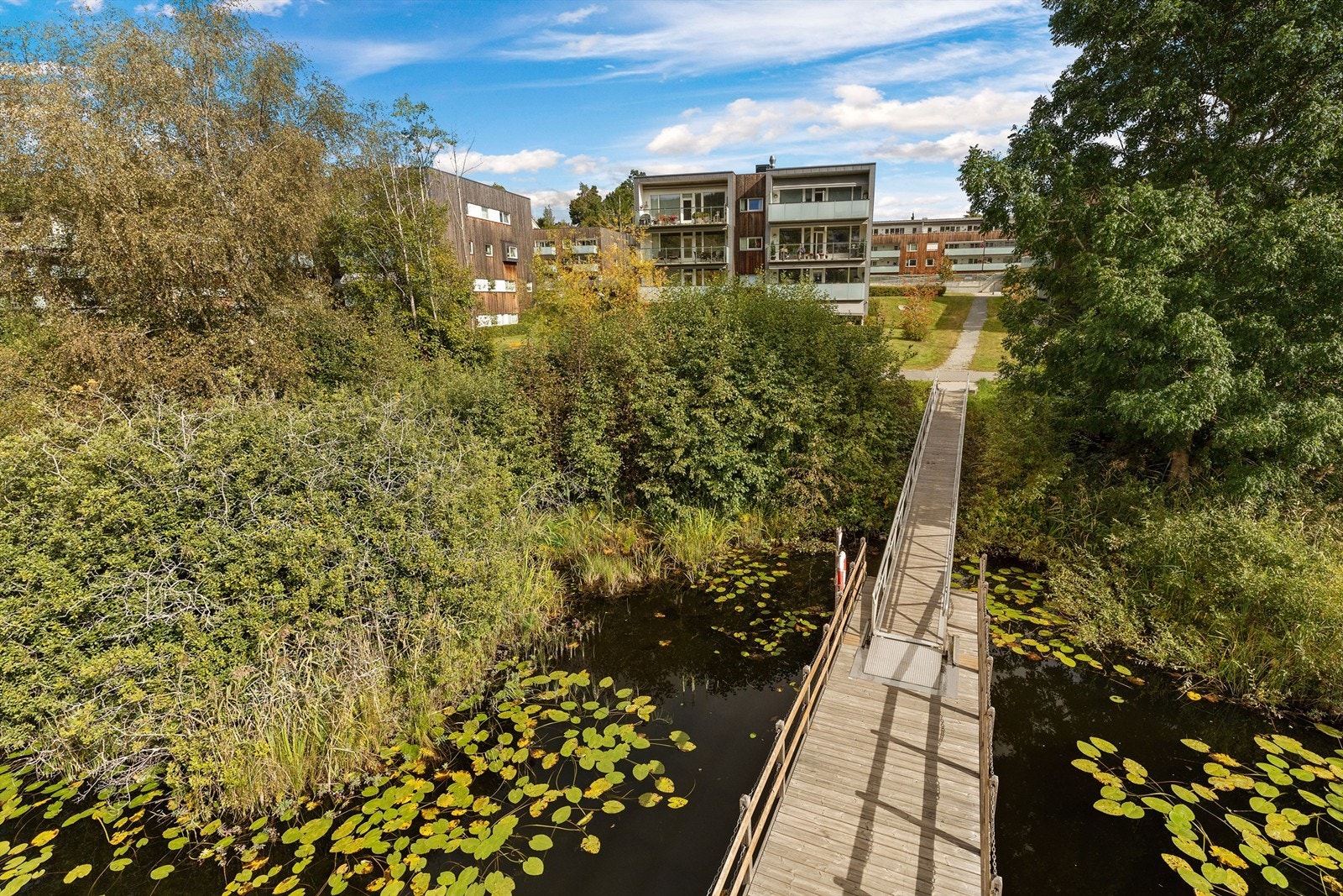 Bondivannet om sommeren. Galleribilde