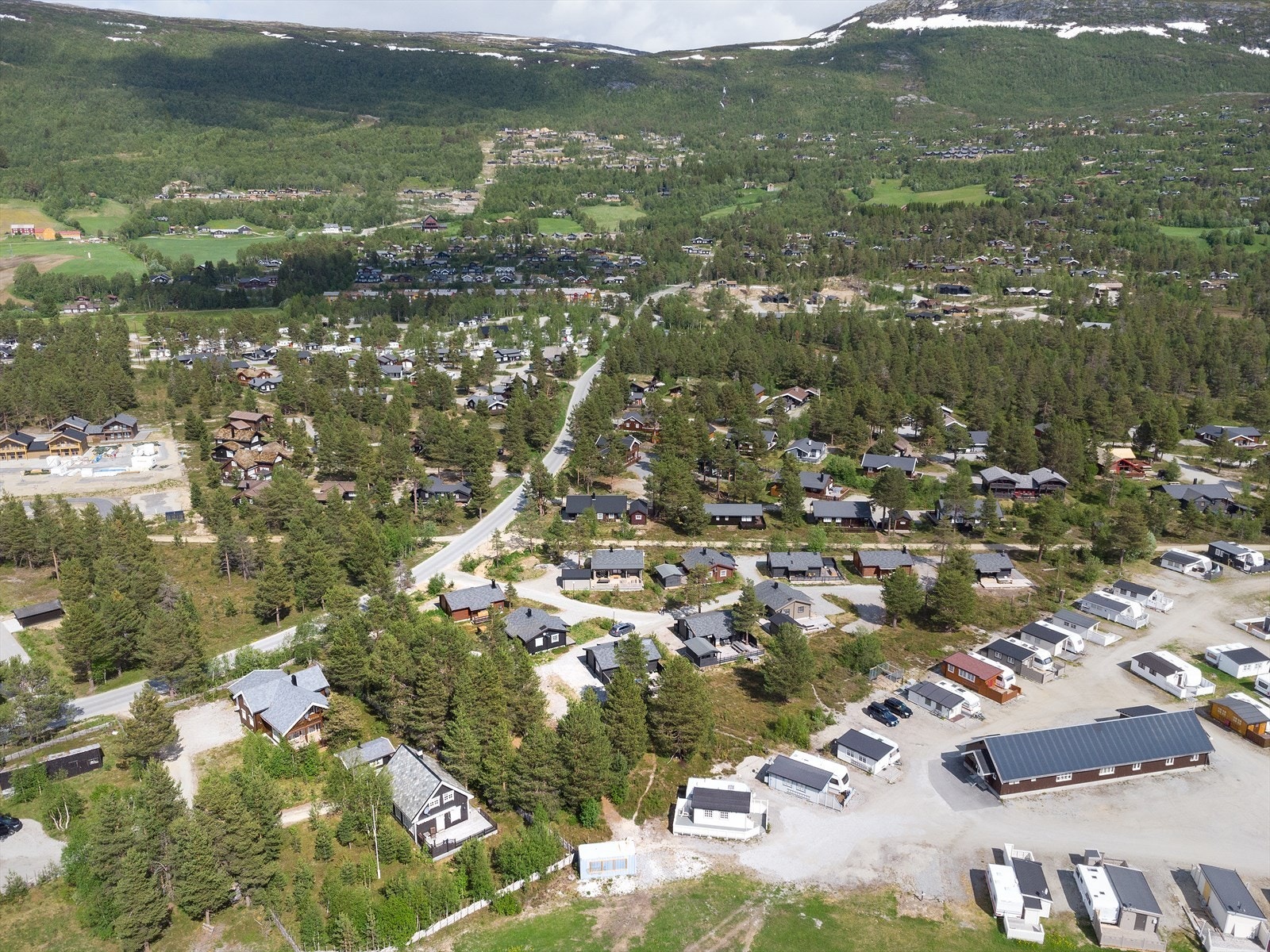 Tomtene består i dag av noe skog og lett vegetasjon mot campingplassen Galleribilde