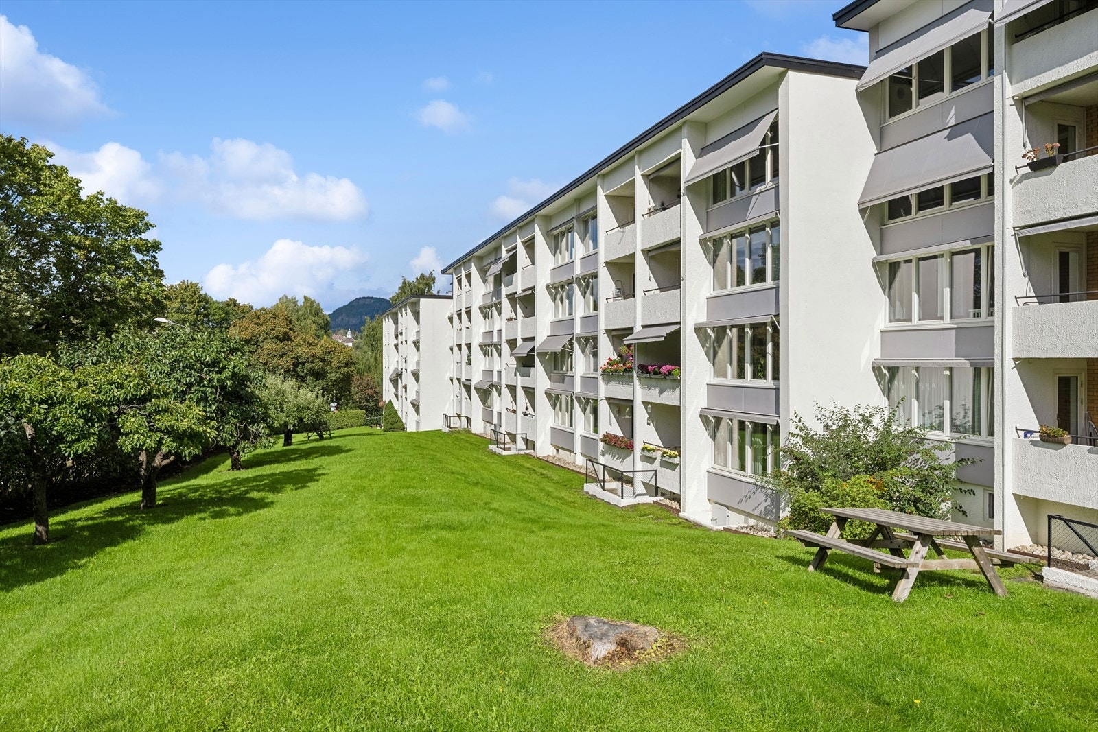 Sameiet har grønne og pent opparbeidet fellesområder med asfalterte adkomstveier og hyggelige utesoner med sittebenker. Galleribilde