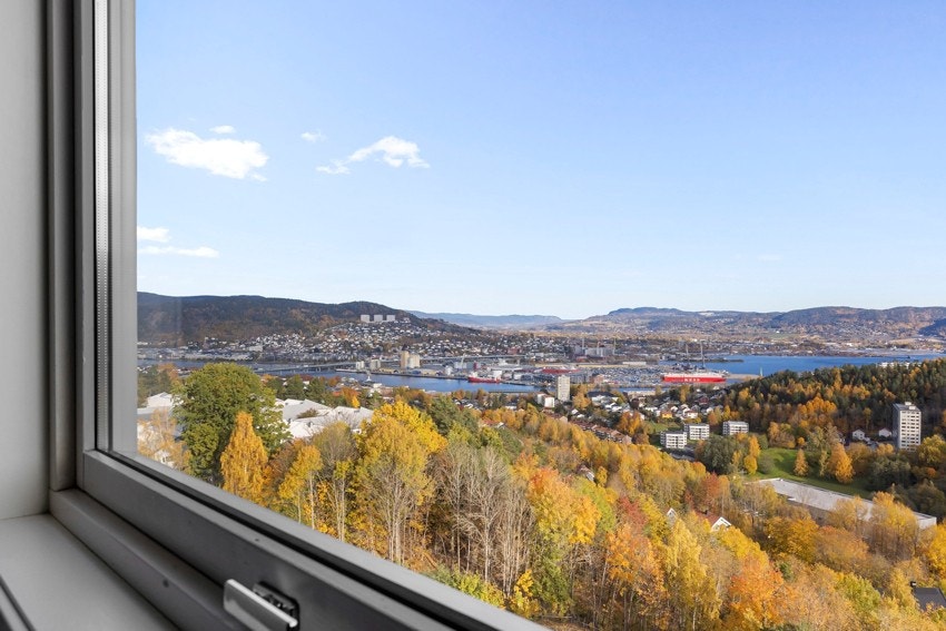 Utsikt mot Drammen sentrum Galleribilde