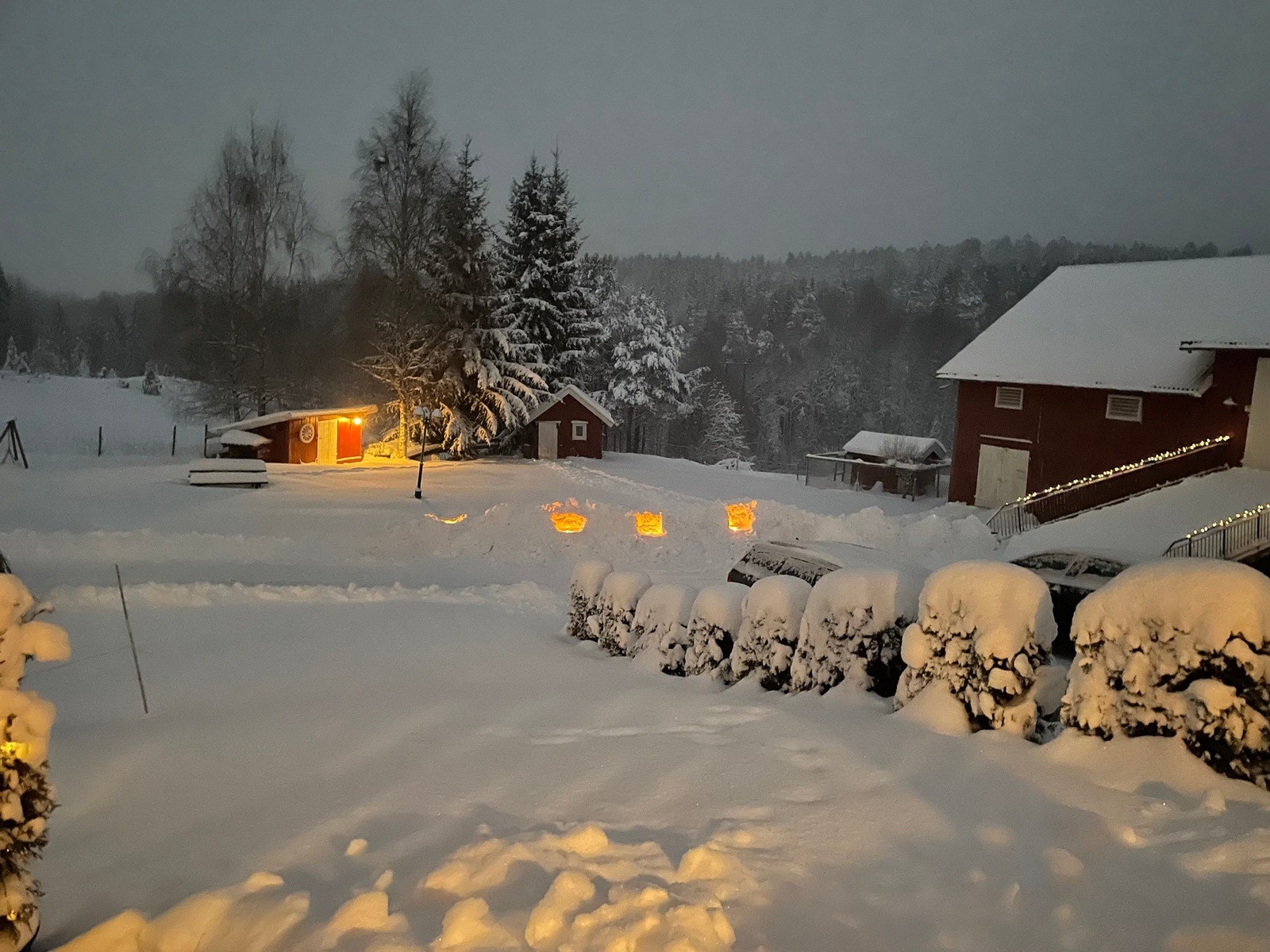 Vinter på gården Galleribilde