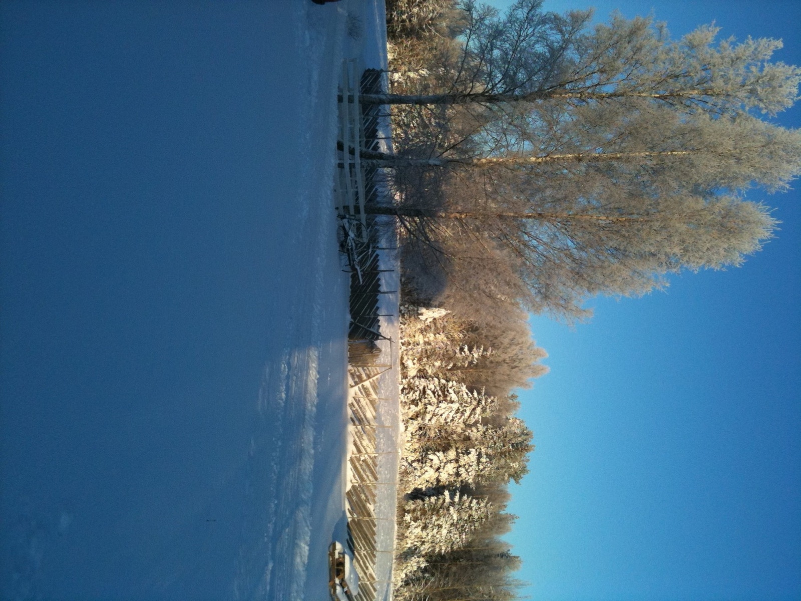 Vinter Galleribilde