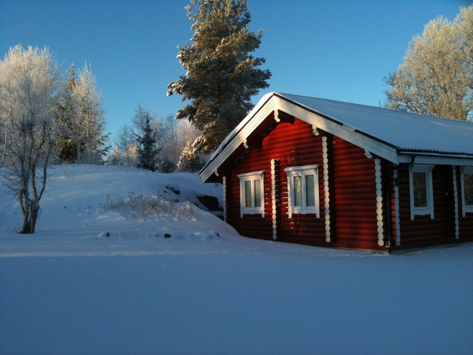 Lårboligen - vinter Galleribilde