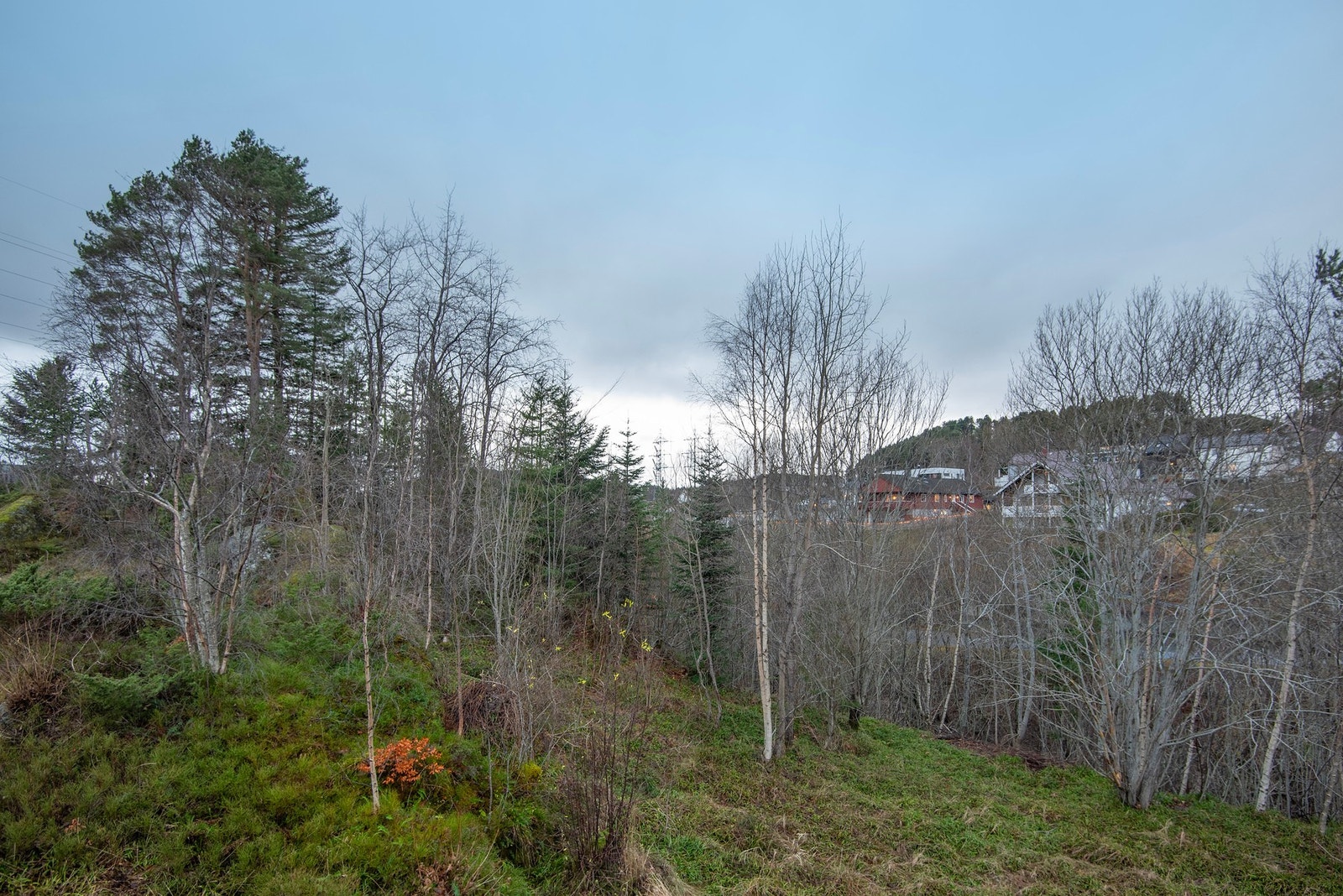 Utsikt fra balkong. Galleribilde