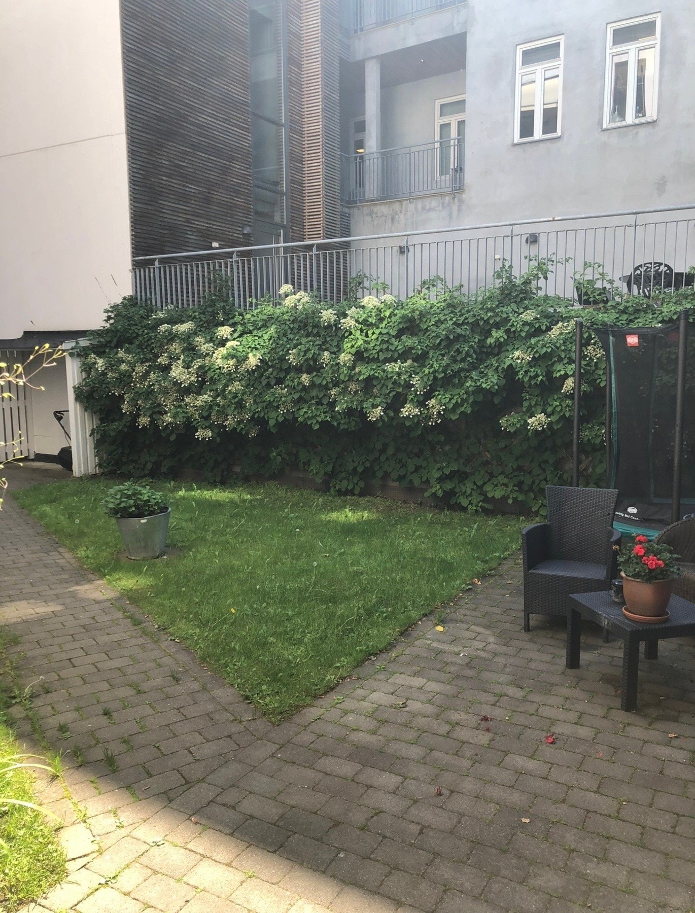Bakgården. Galleribilde