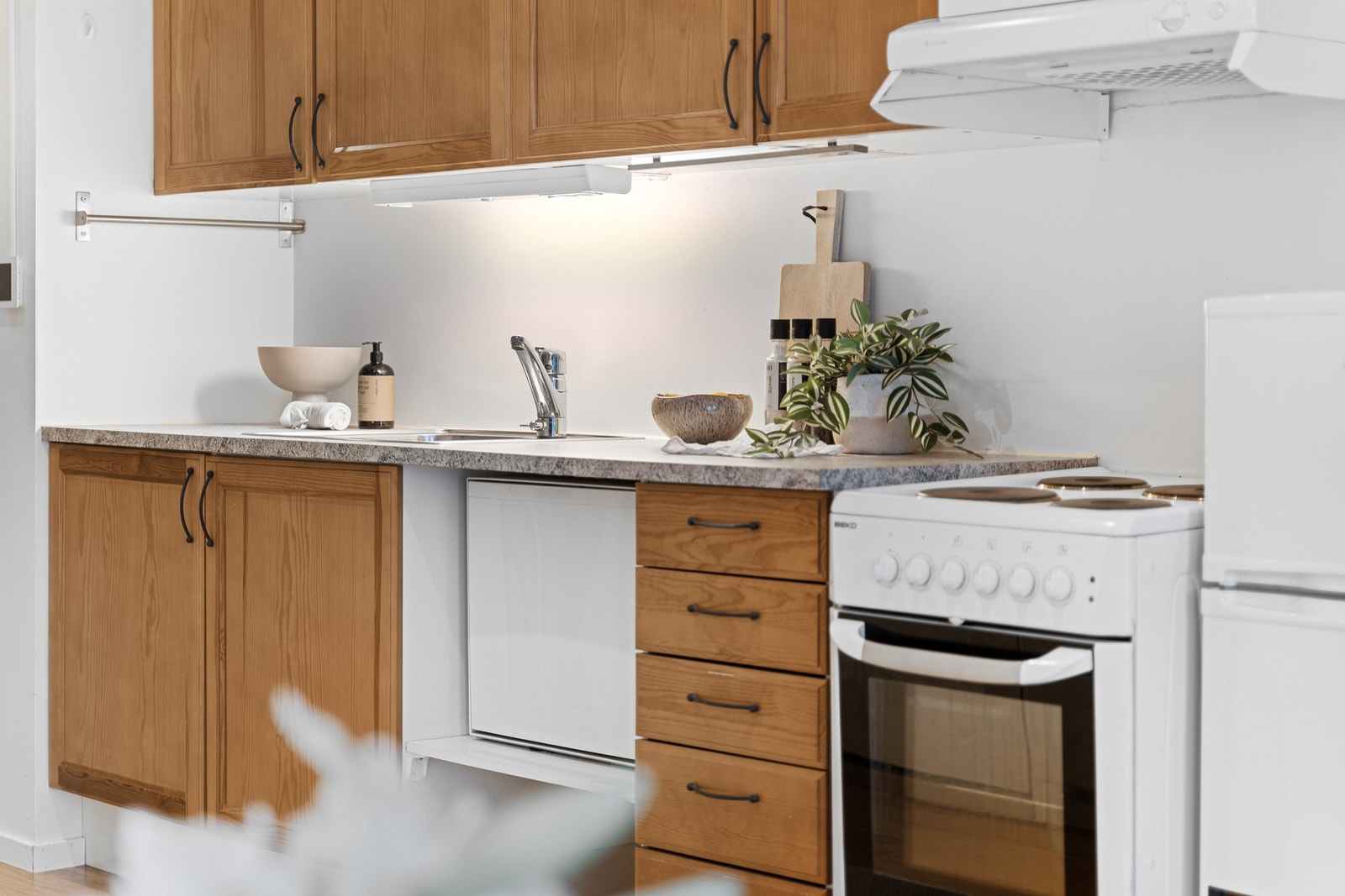 Opplegg for oppvaskmaskin. Galleribilde