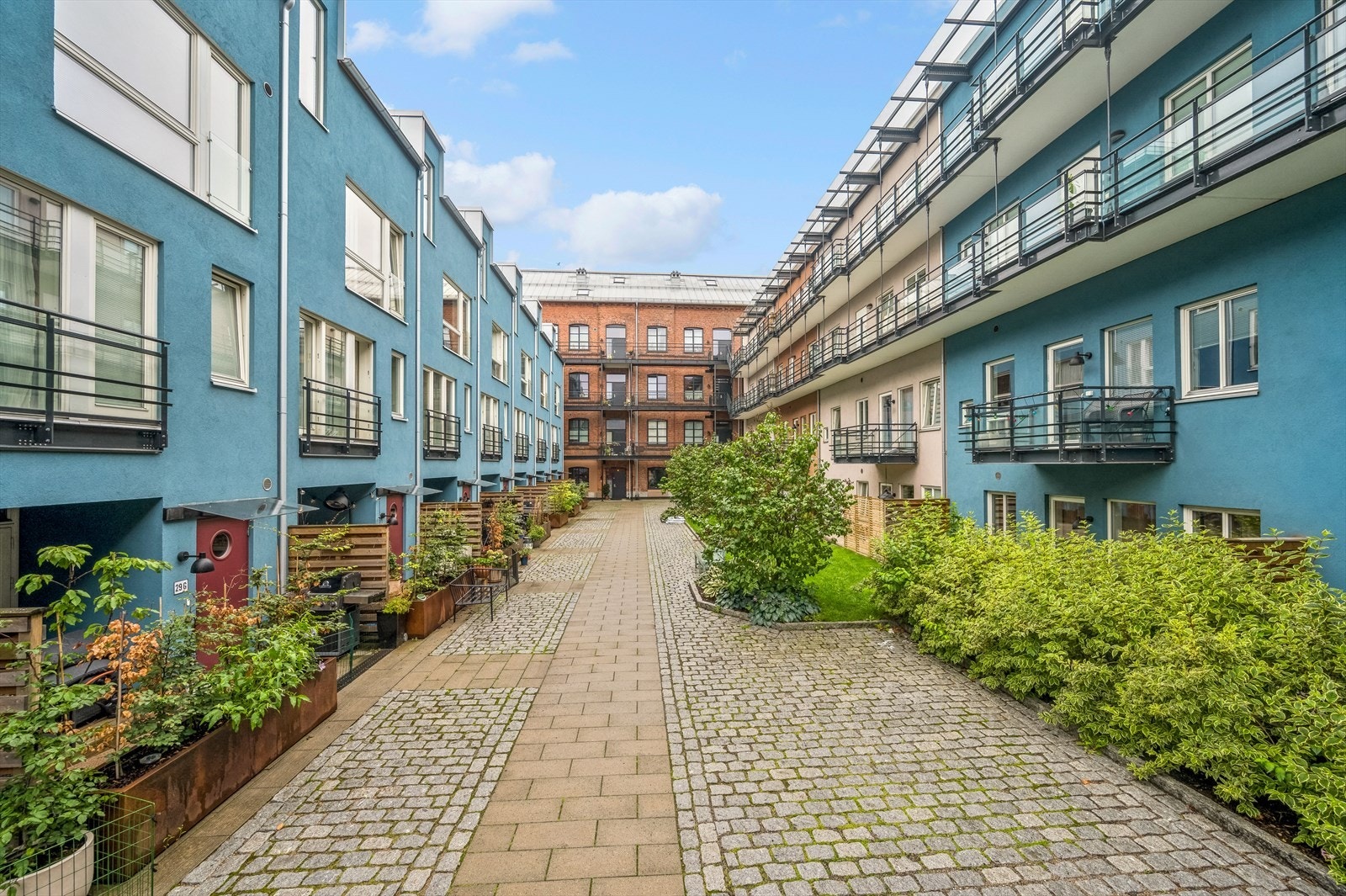 Bakgård på sommerstid Galleribilde