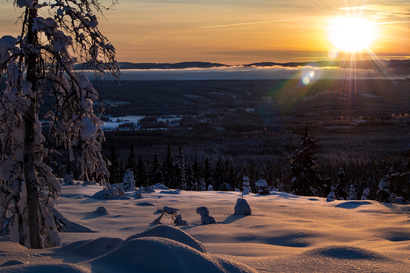 Birkenåsen. Galleribilde