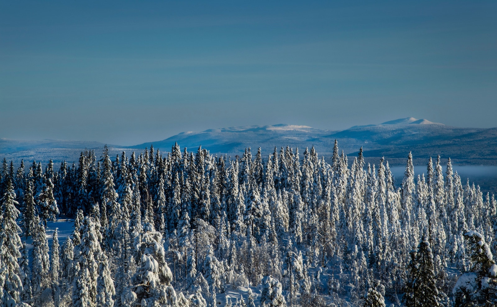 Utsikt til Trysilfjellet fra Birkenåsen. Galleribilde