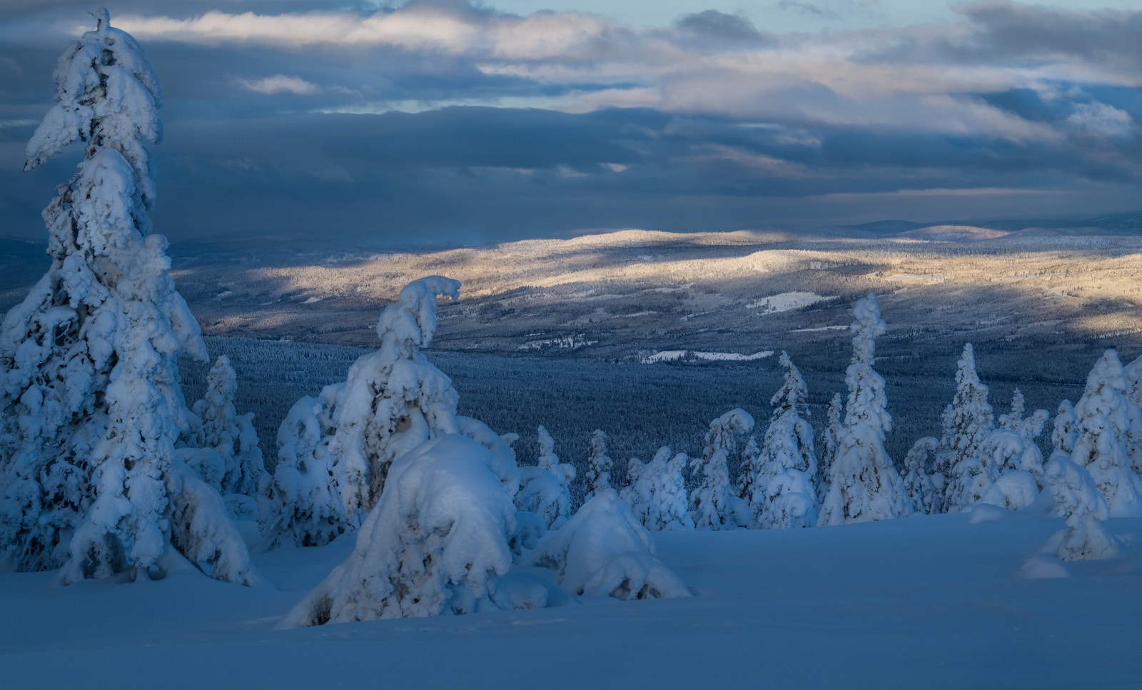 Utsikt fra Birkenåsen. Galleribilde