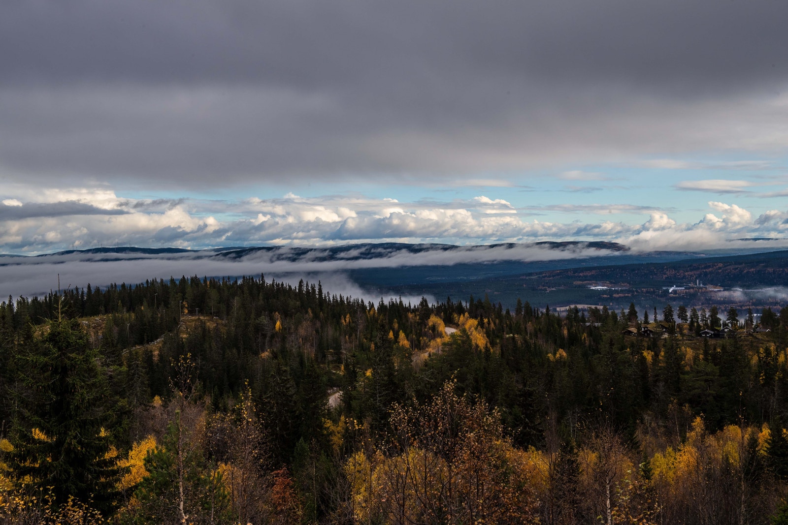 Birkenåsen. Galleribilde