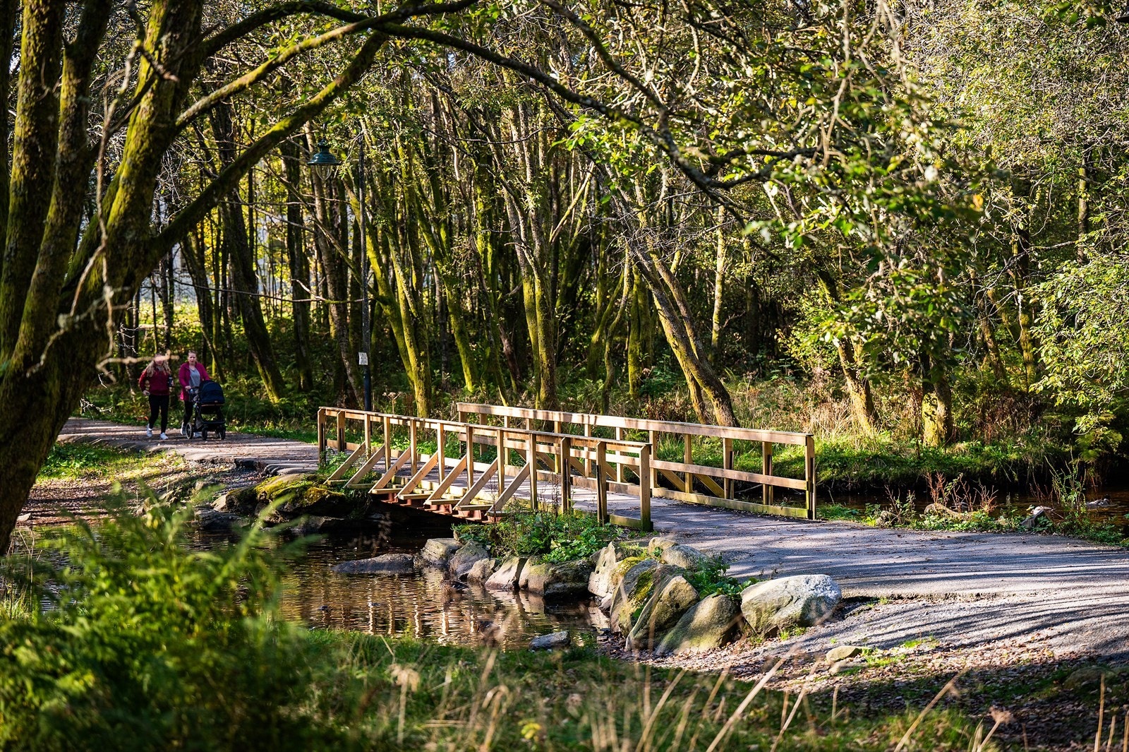 - Nydelige turmuligheter i nærområdet - Galleribilde