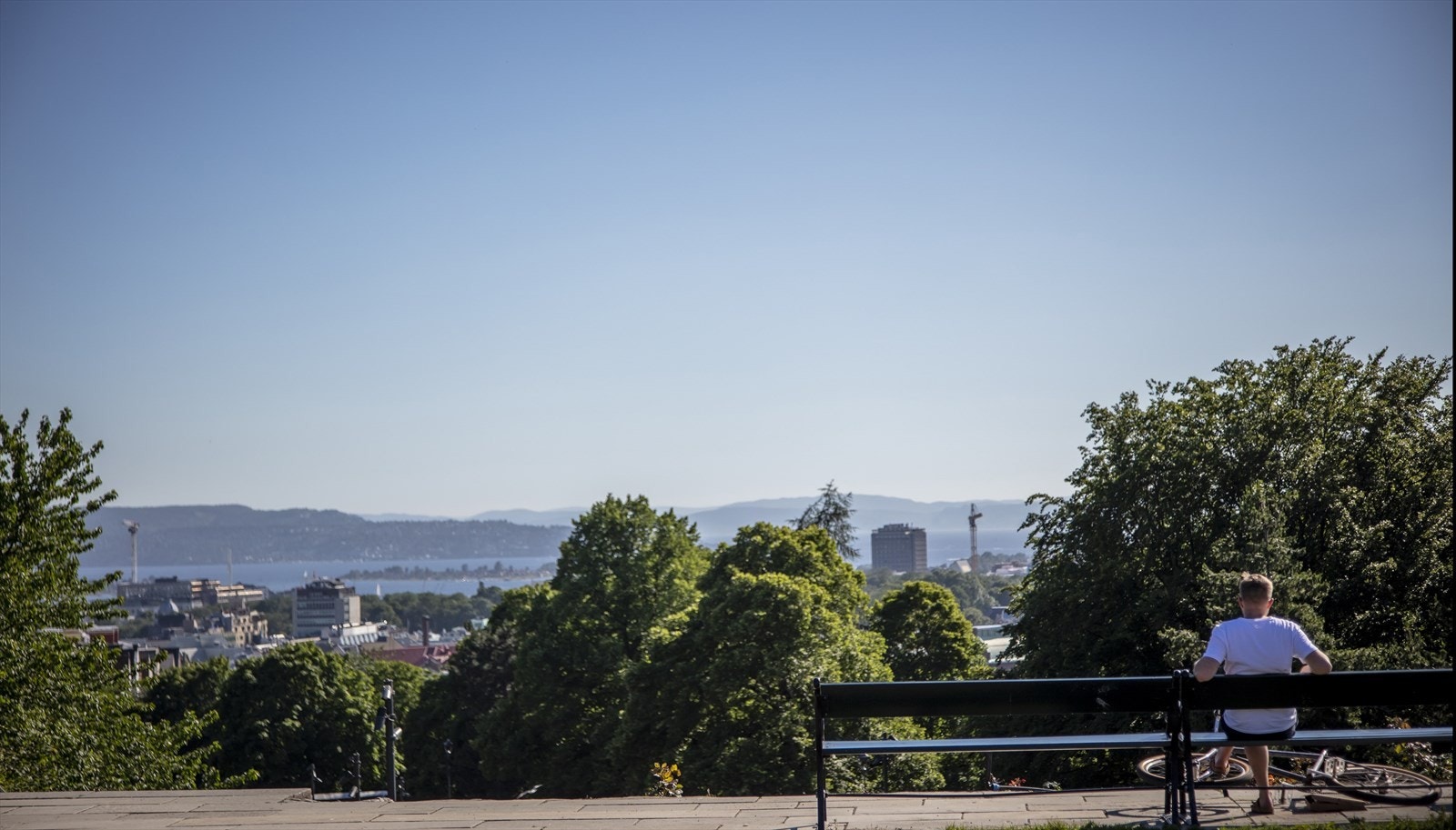 Områdebilde. Galleribilde