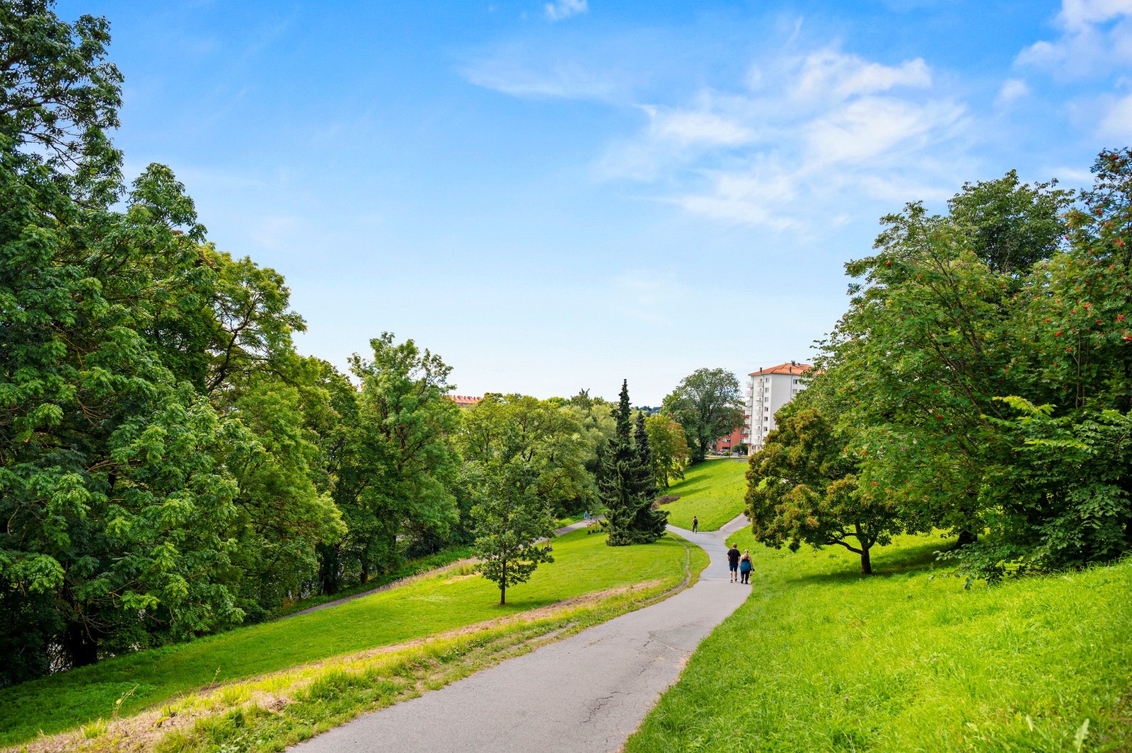 Fra leiligheten har du kort vei til flere flotte parker. Galleribilde