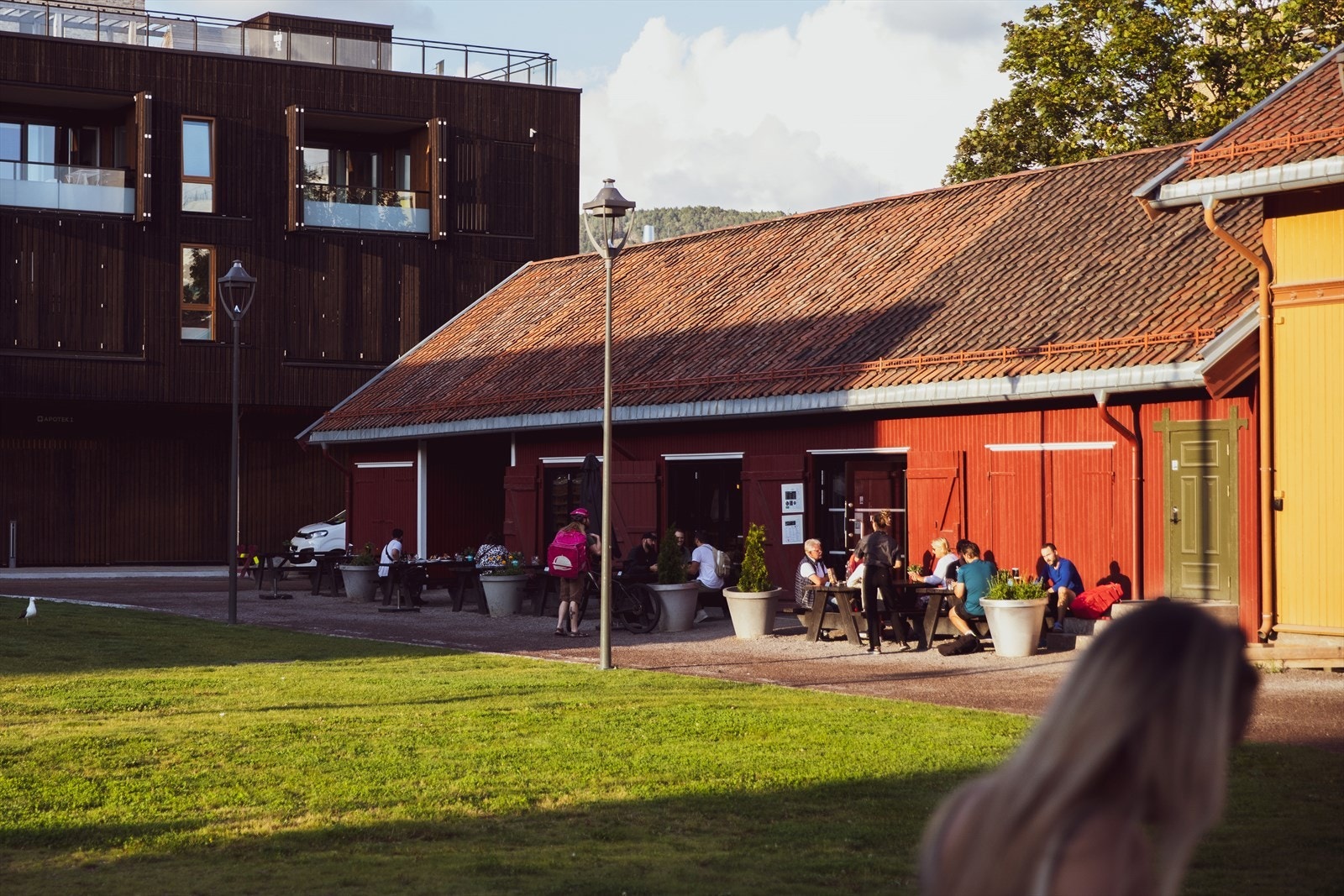 Lillo gård. Galleribilde