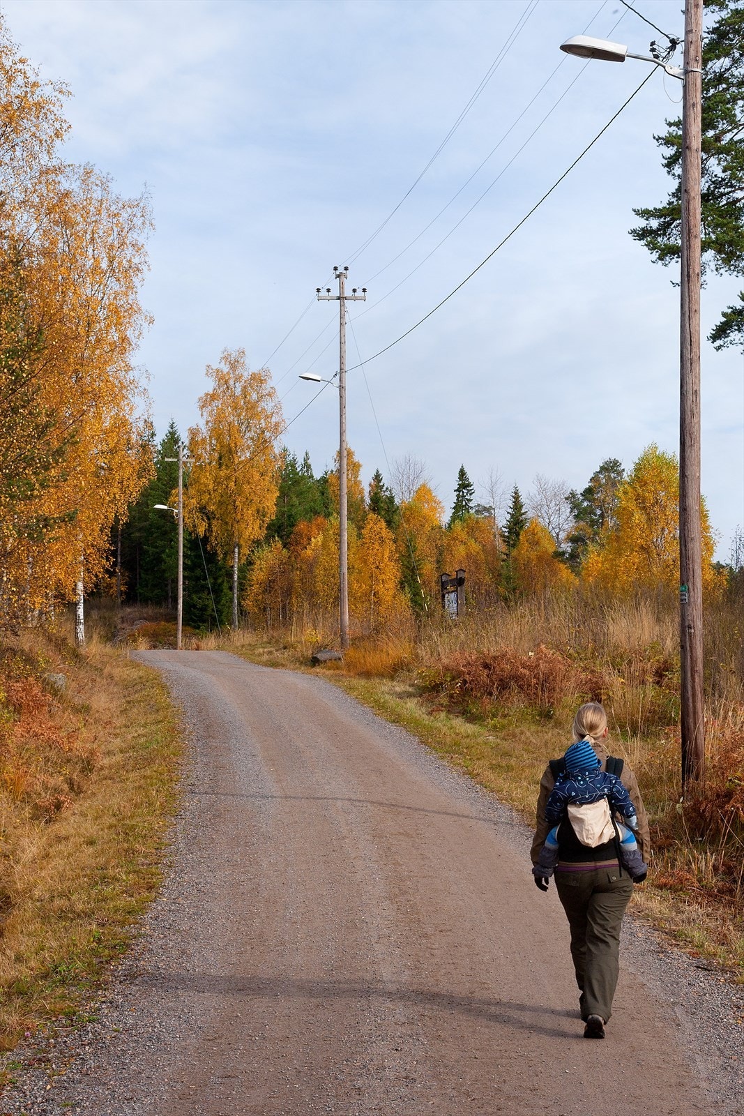 Lillomarka har milevis med fine grusveier å gå eller sykle på Galleribilde