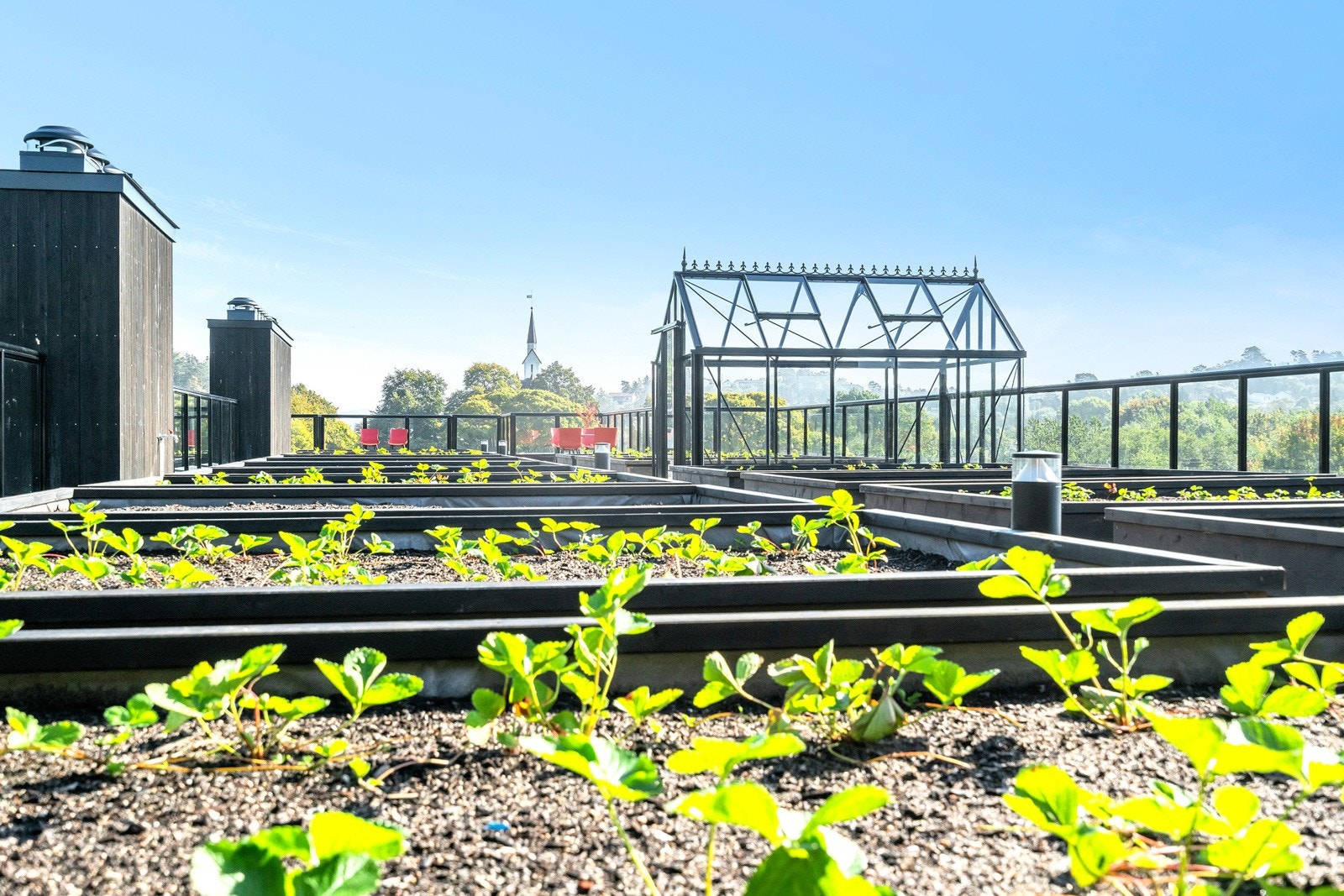 På takterrassen er det felles drivhus. Galleribilde