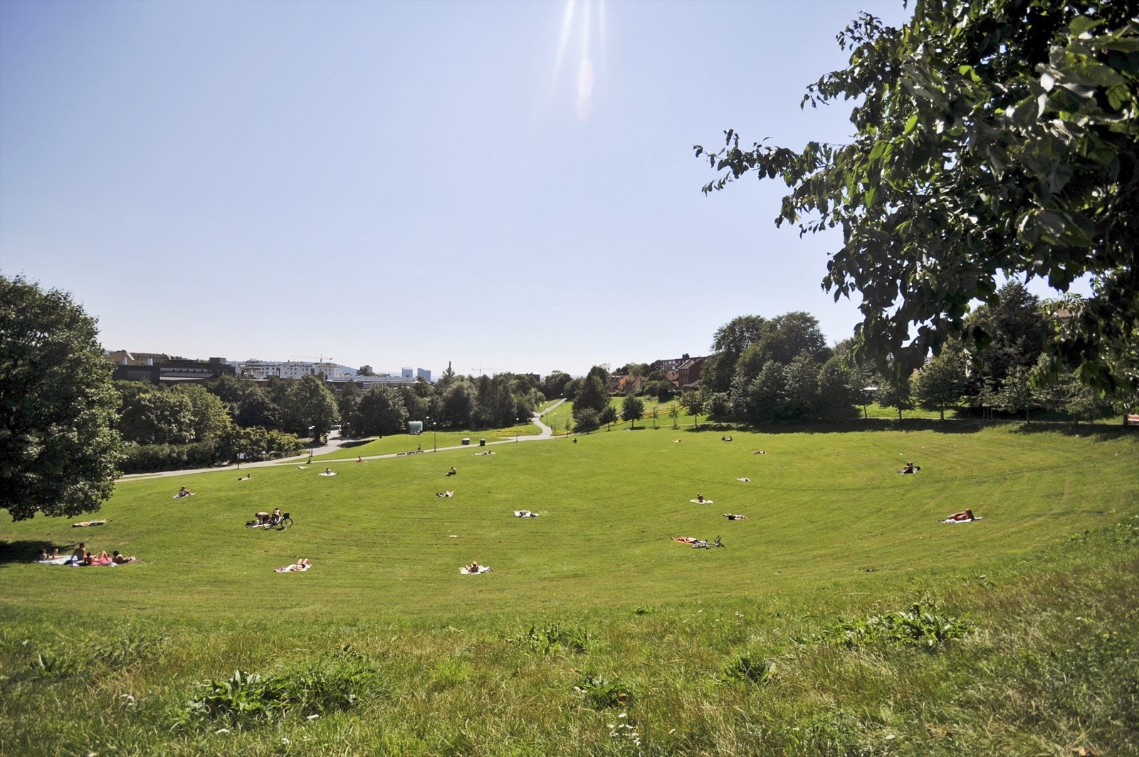 Områdebilde. Galleribilde