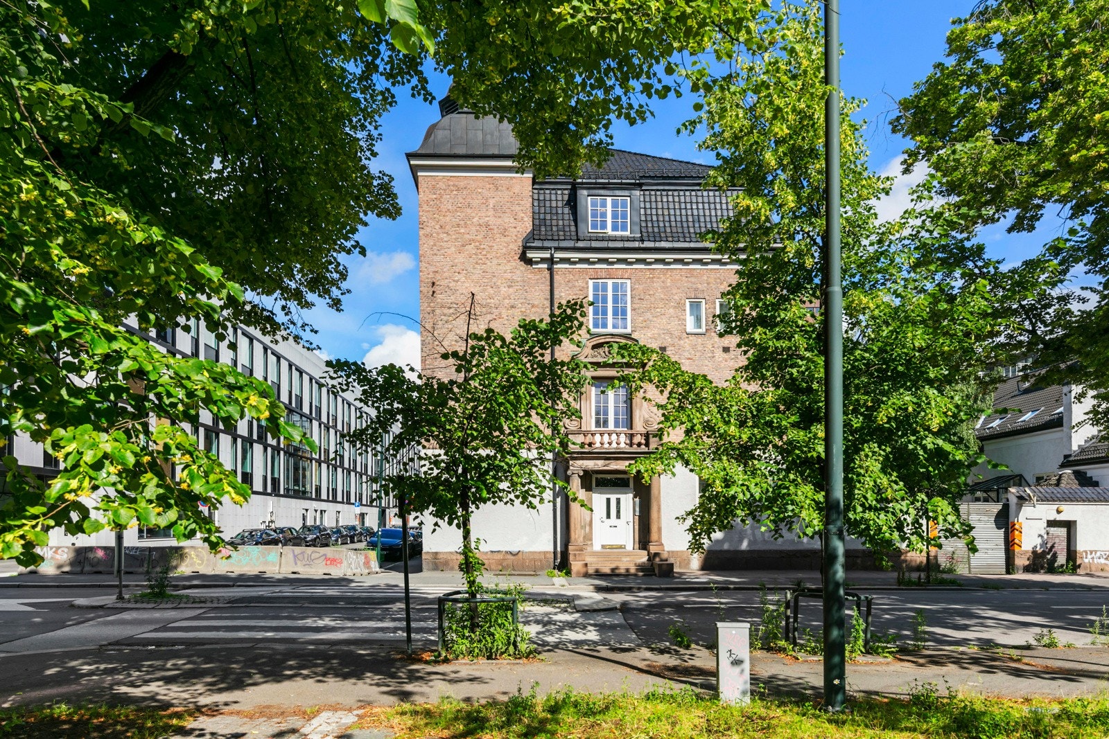 Grønt og frodig i nærområdet Galleribilde