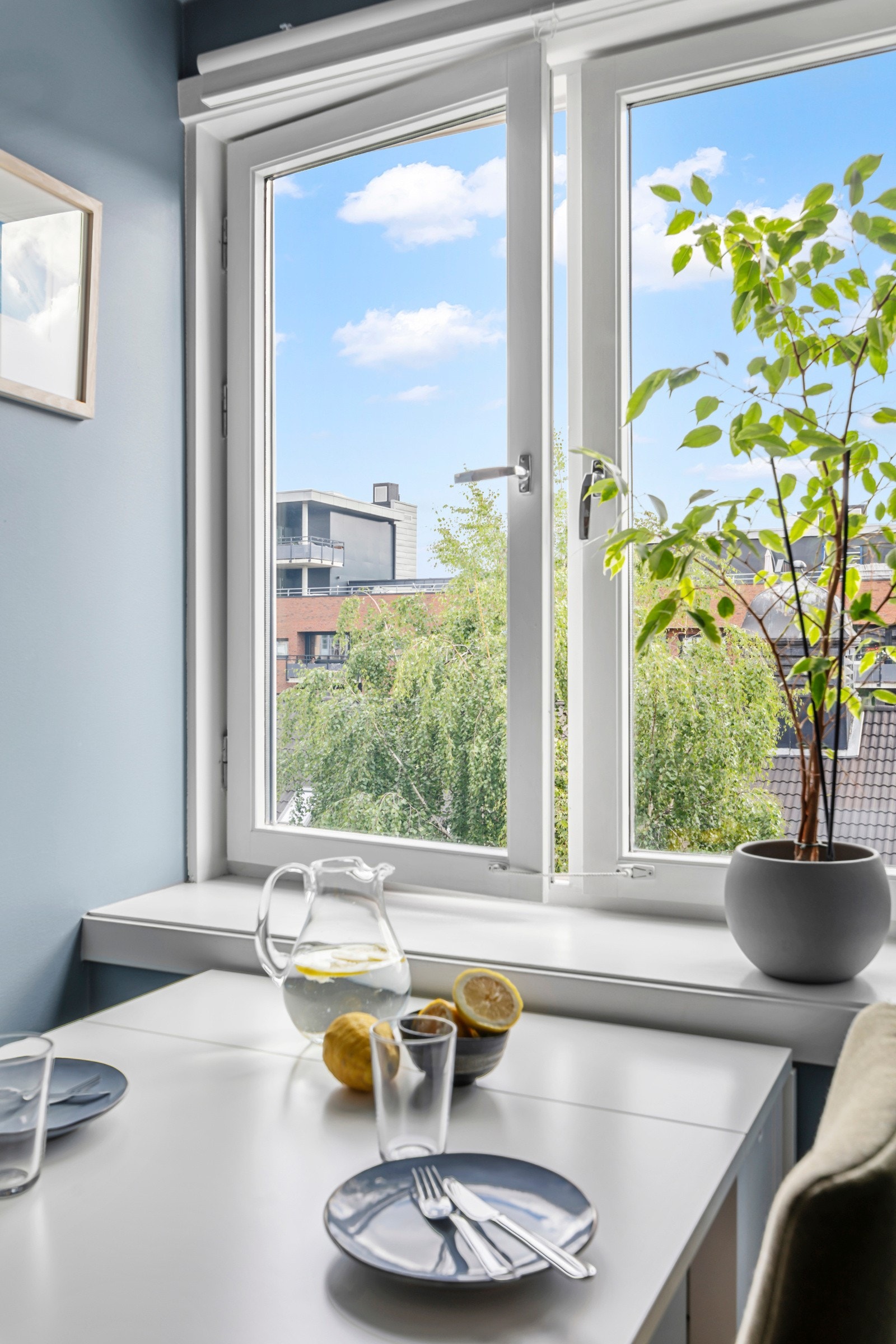 Usjenert og grønt, midt i Oslo sentrum. Botaniske Hage ligger "et steinkast" unna Galleribilde