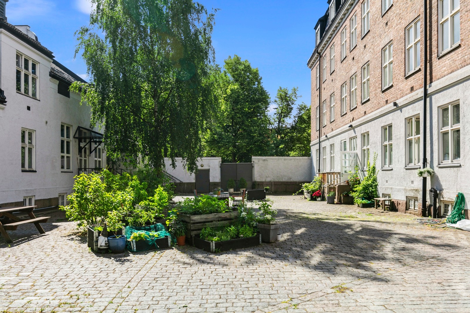 Rolig og grønn bakgård, midt i Oslo sentrum. Beboerne steller med diverse dyrking og beplantning Galleribilde