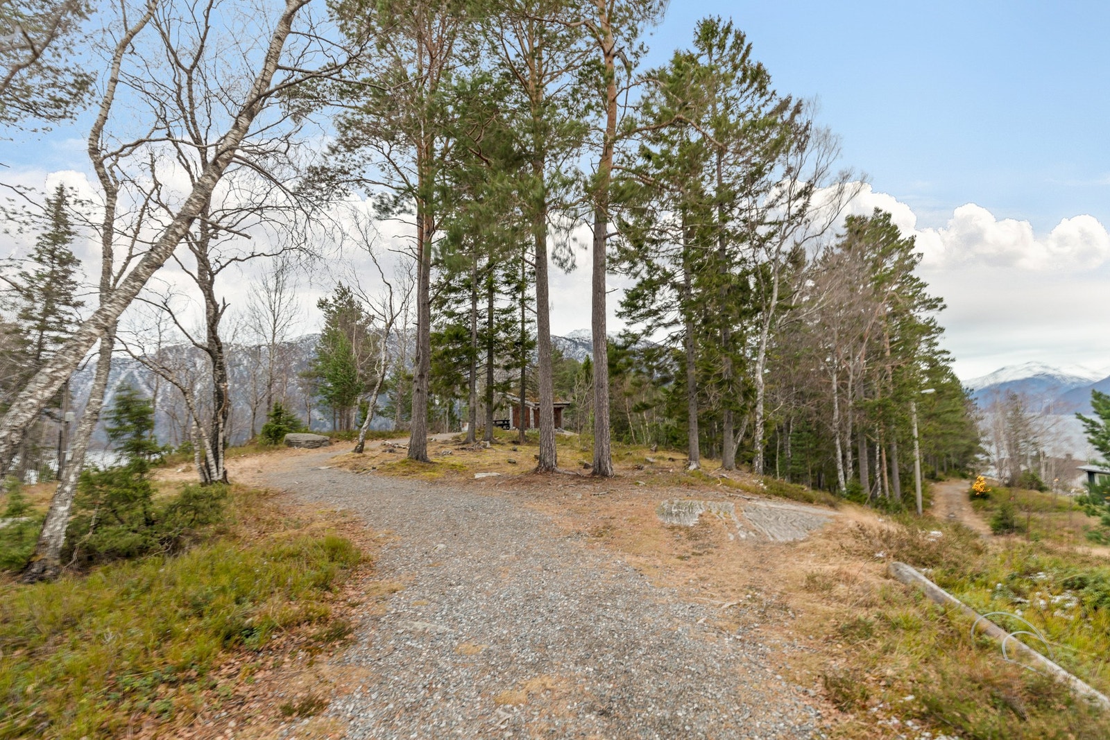 Eiendommen er beliggende i umiddelbar avstand til Barliaskogen, et flott turområde med tursti, gapahuk og trimpost Galleribilde