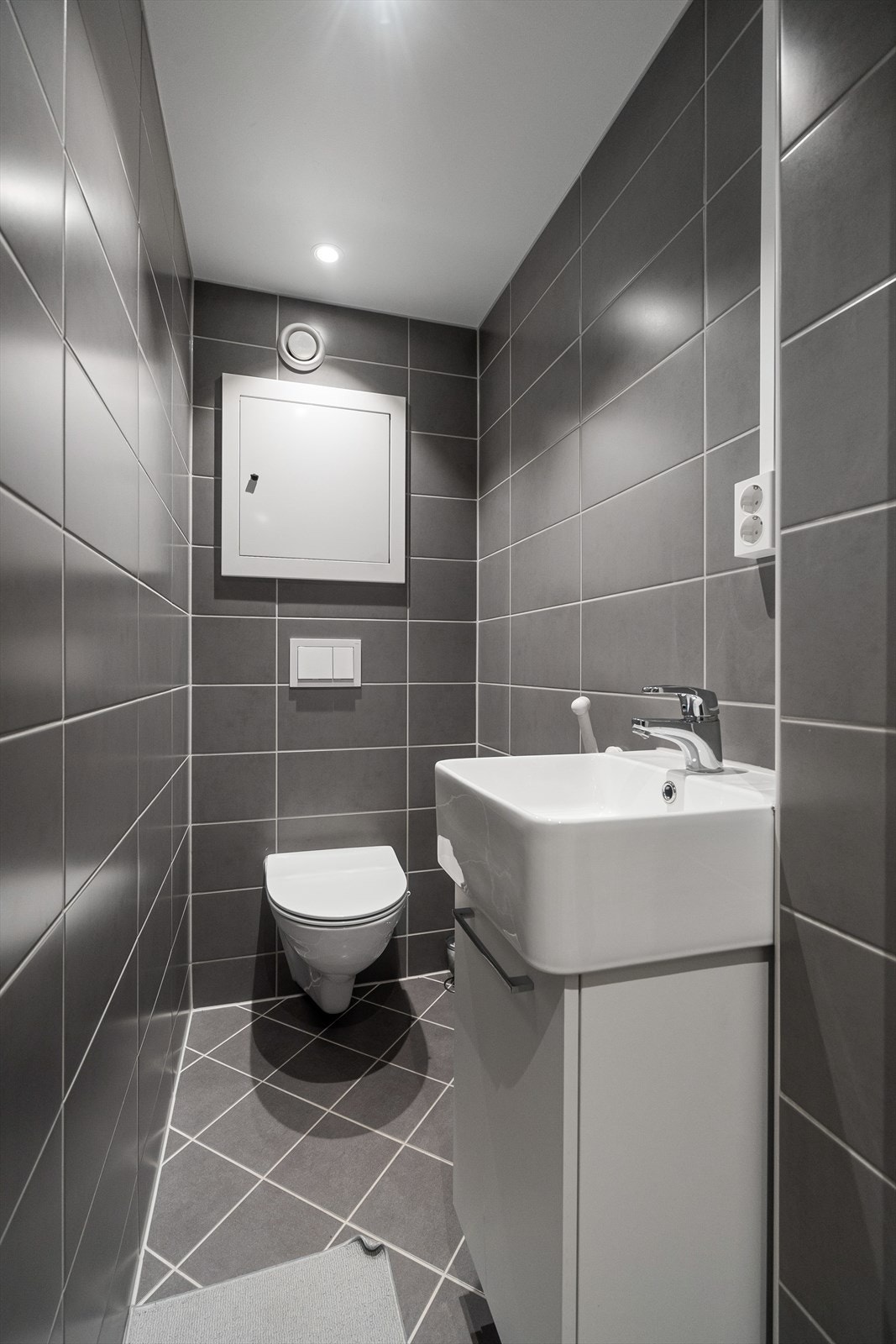 Separat WC med vask Galleribilde