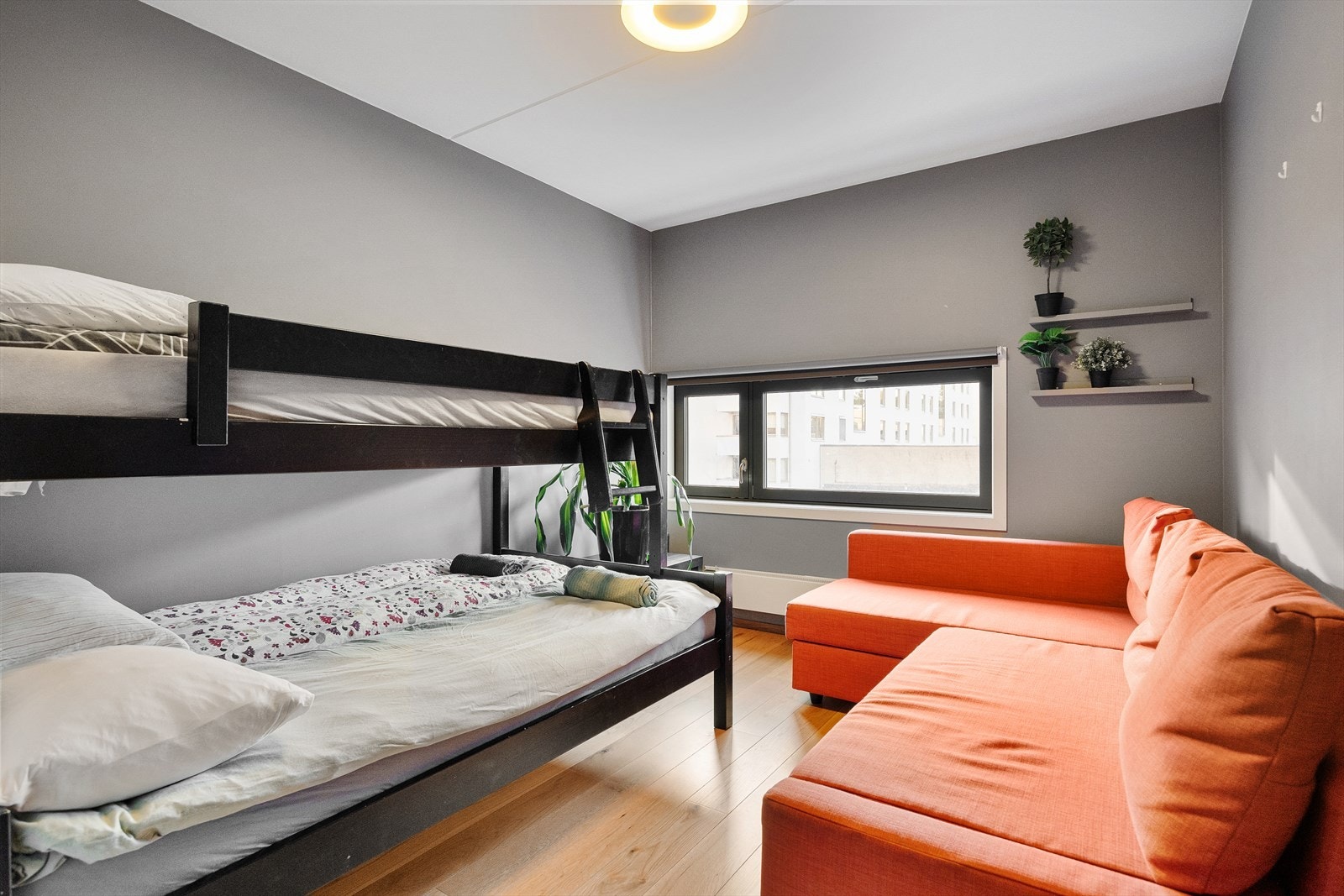 - Hyggelig stue/soverom med god plass til sofaseksjon, TV-benk og seng - Galleribilde