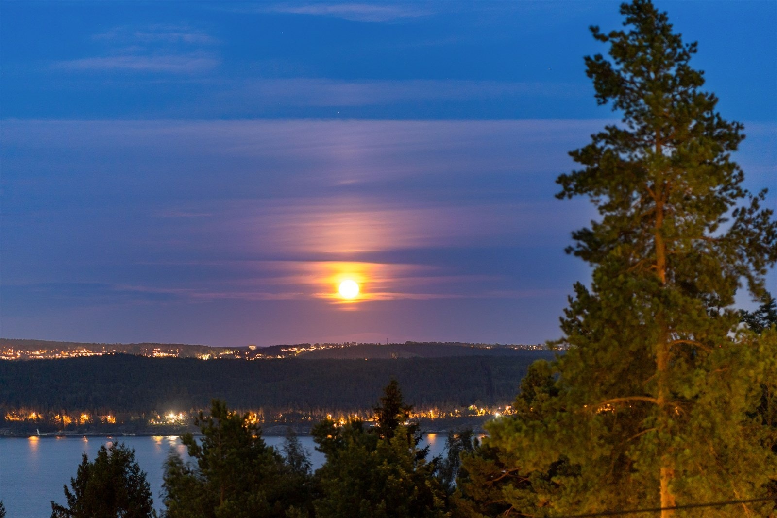 Med himmelen som lerret. Galleribilde