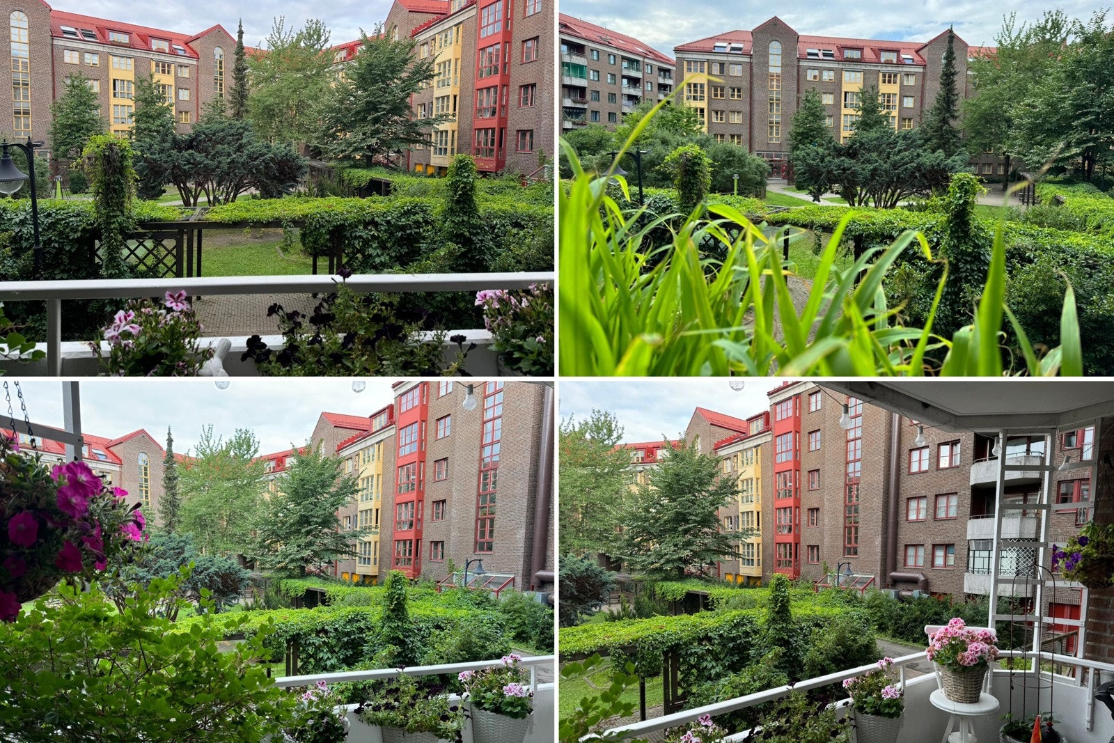 Bakgård sommertid (selgers bilder). Galleribilde