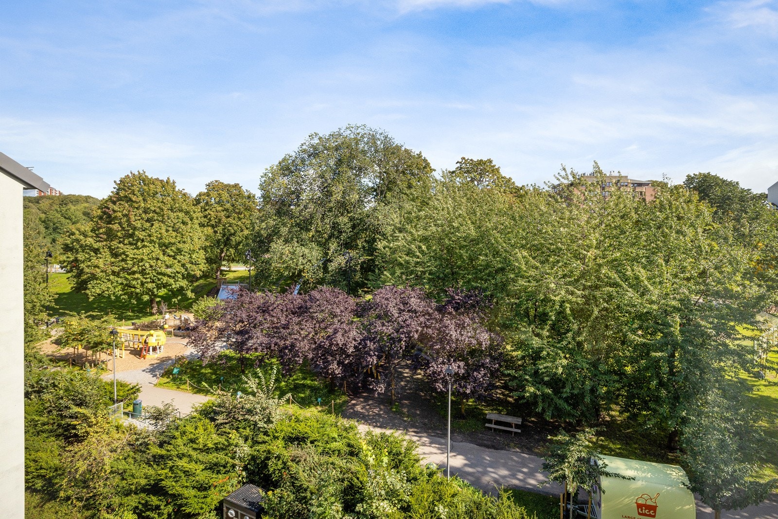Botanisk hage Galleribilde