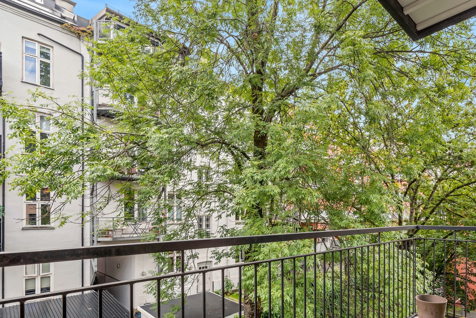 Det frodige treet skjermer under sommerhalvåret. Galleribilde