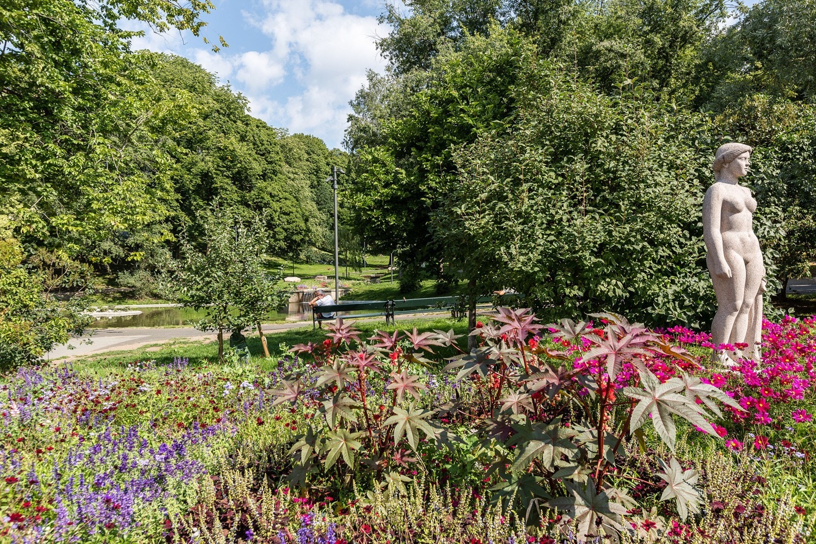 St. Hanshaugen park sommerstid Galleribilde