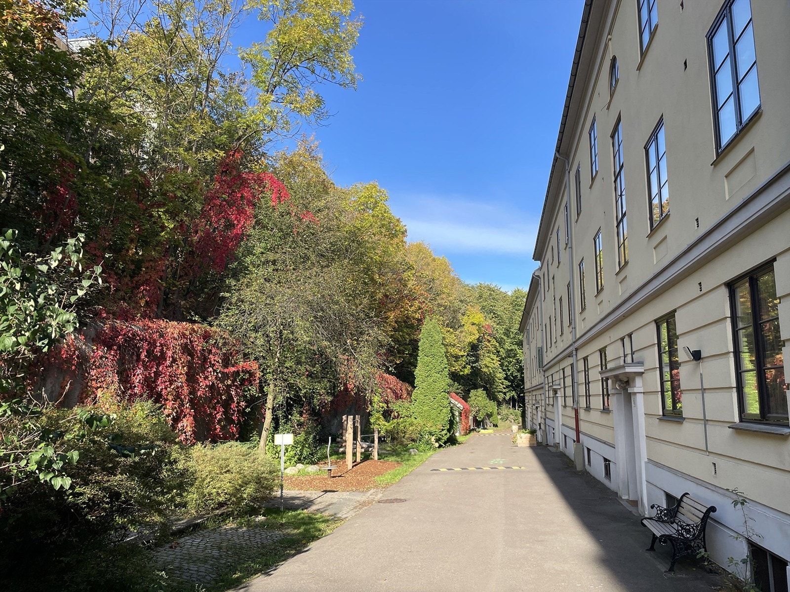 Bakgård høst 2023 Galleribilde