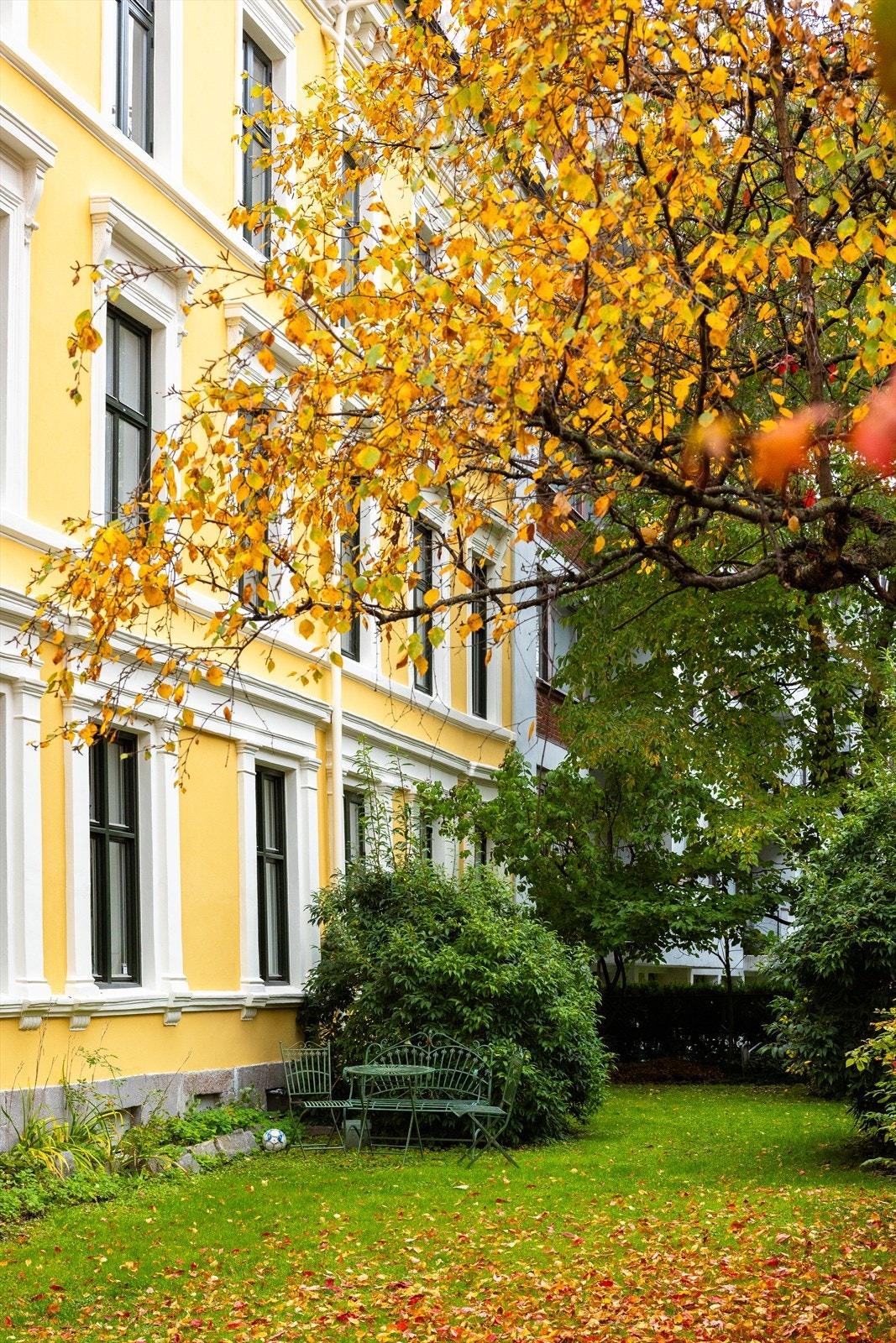 Her ligger alt til rette for å kunne trives. Galleribilde