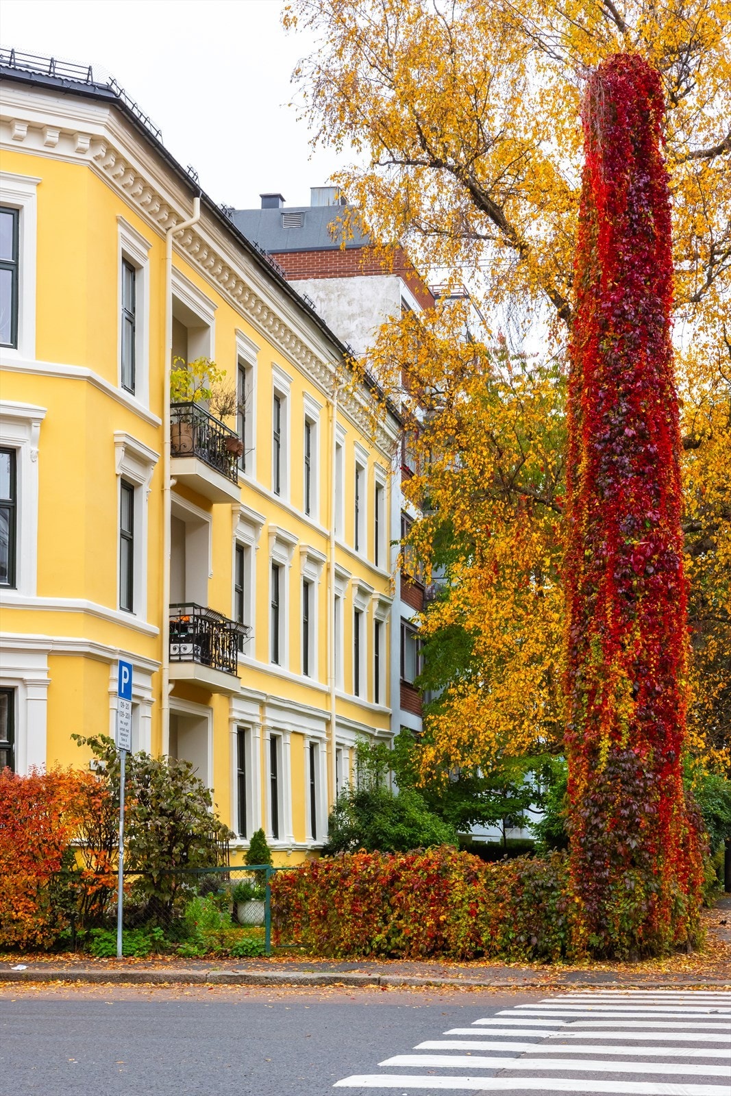 Rolig boligområde med nærhet til alt du måtte trenge i hverdagen. Galleribilde
