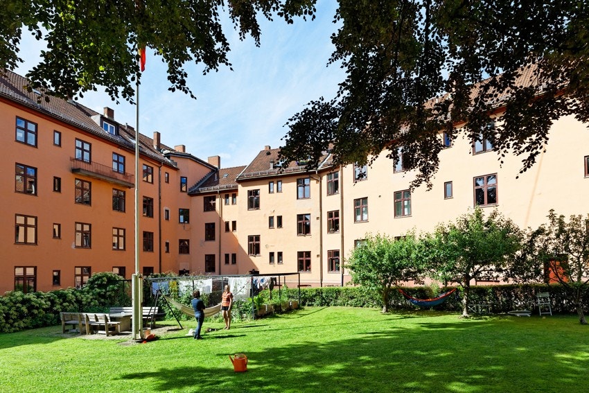 - Fantastisk bakgårdshage på Sagene - Galleribilde