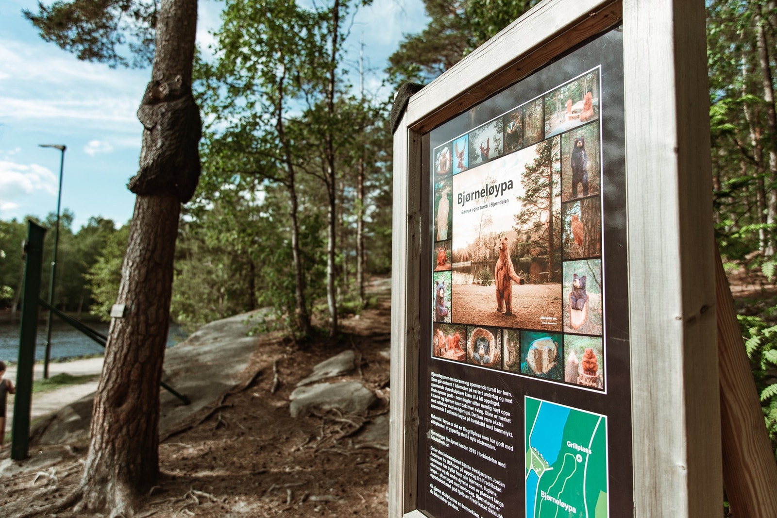 Flotte Fredrikstad Marka med utallige turstier og aktivitetsmuligheter er rett utenfor døren Galleribilde