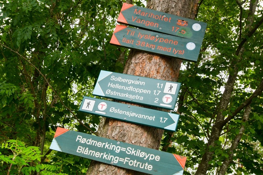 I nærområdet finnes det mange fine turstier for både korte og lange utflukter Galleribilde
