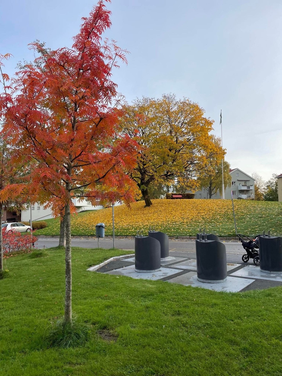 Selgers bilde. Galleribilde