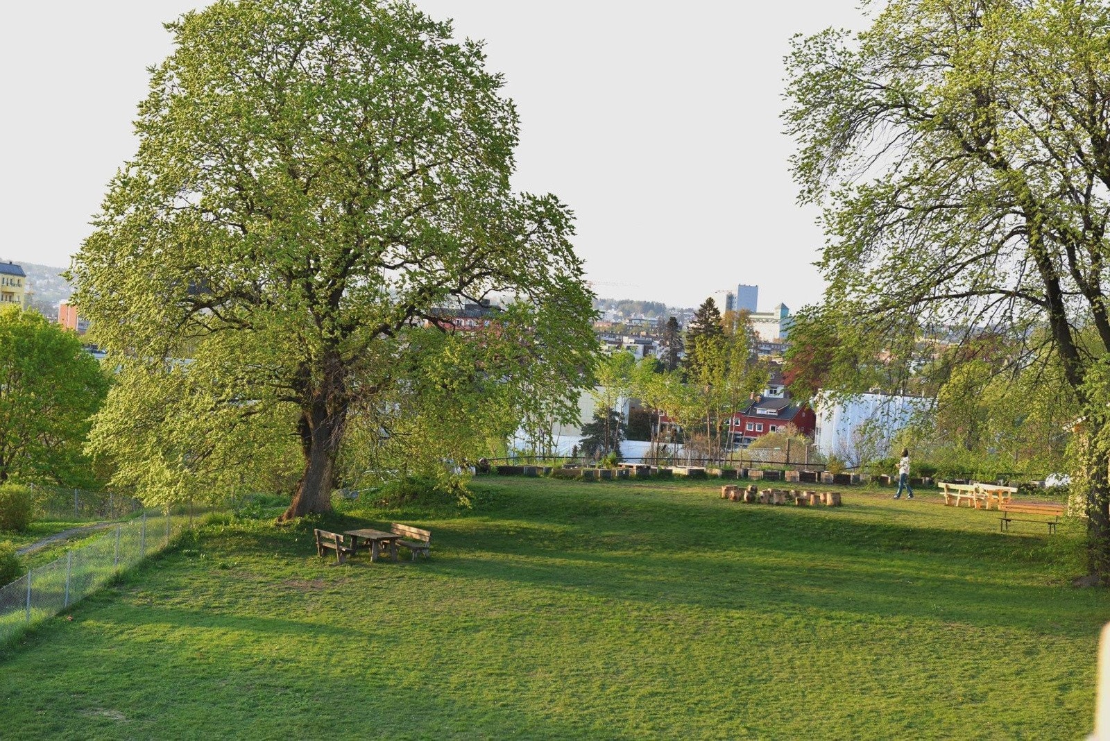 Selgers bilde. Galleribilde