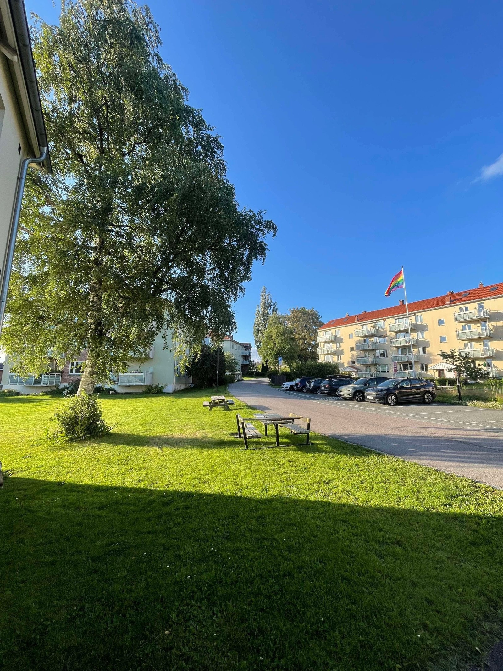 Selgers bilde. Galleribilde