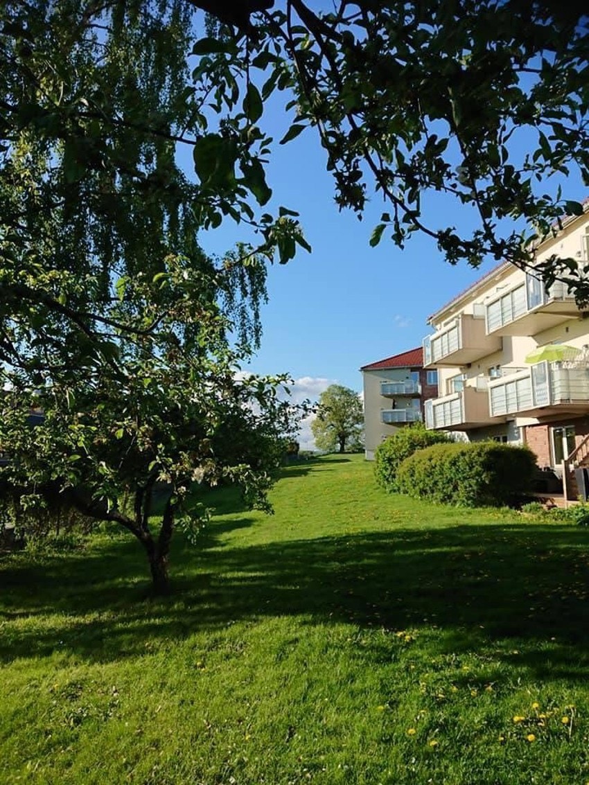 Selgers bilde. Galleribilde