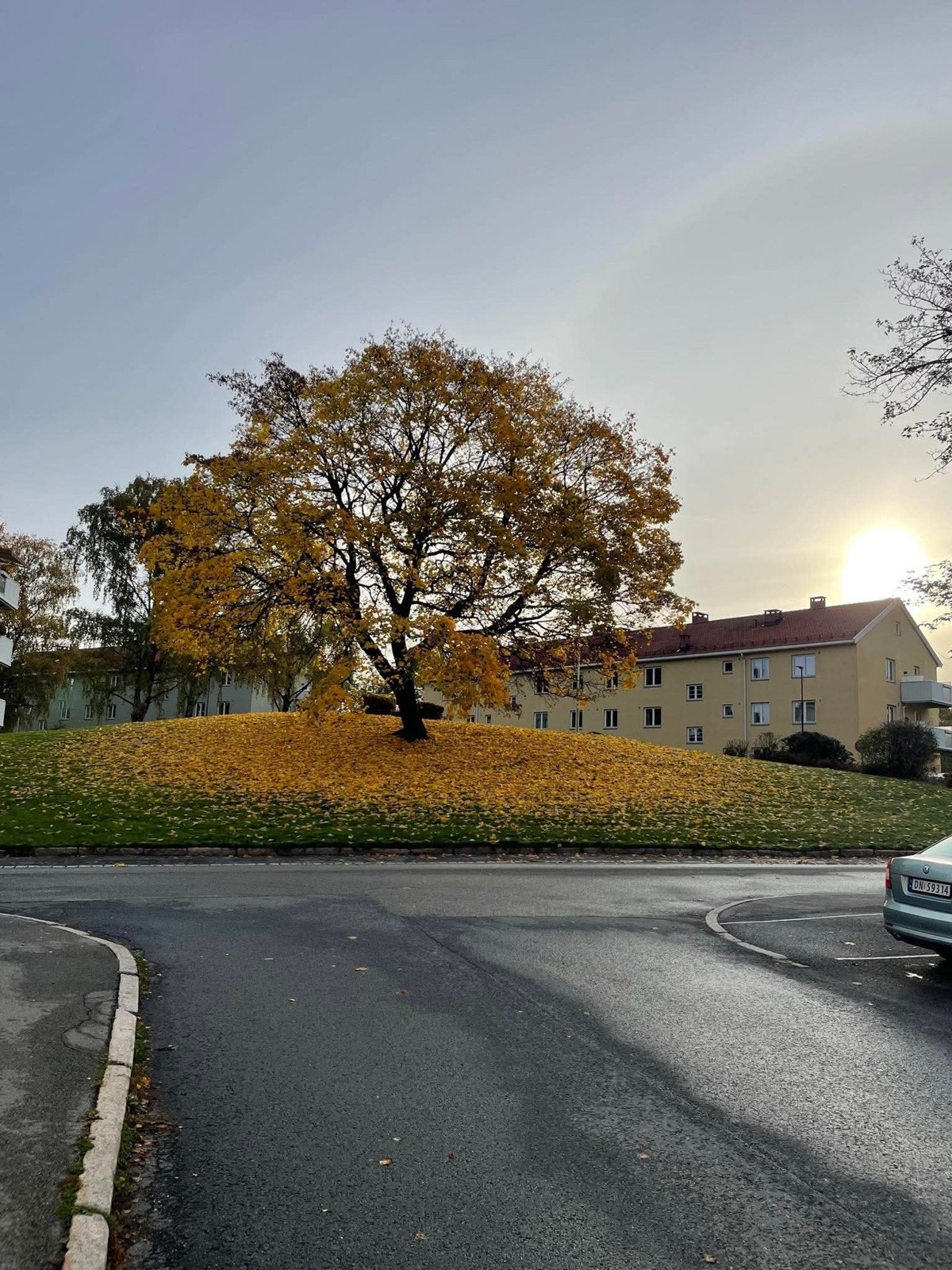 Selgers bilde. Galleribilde