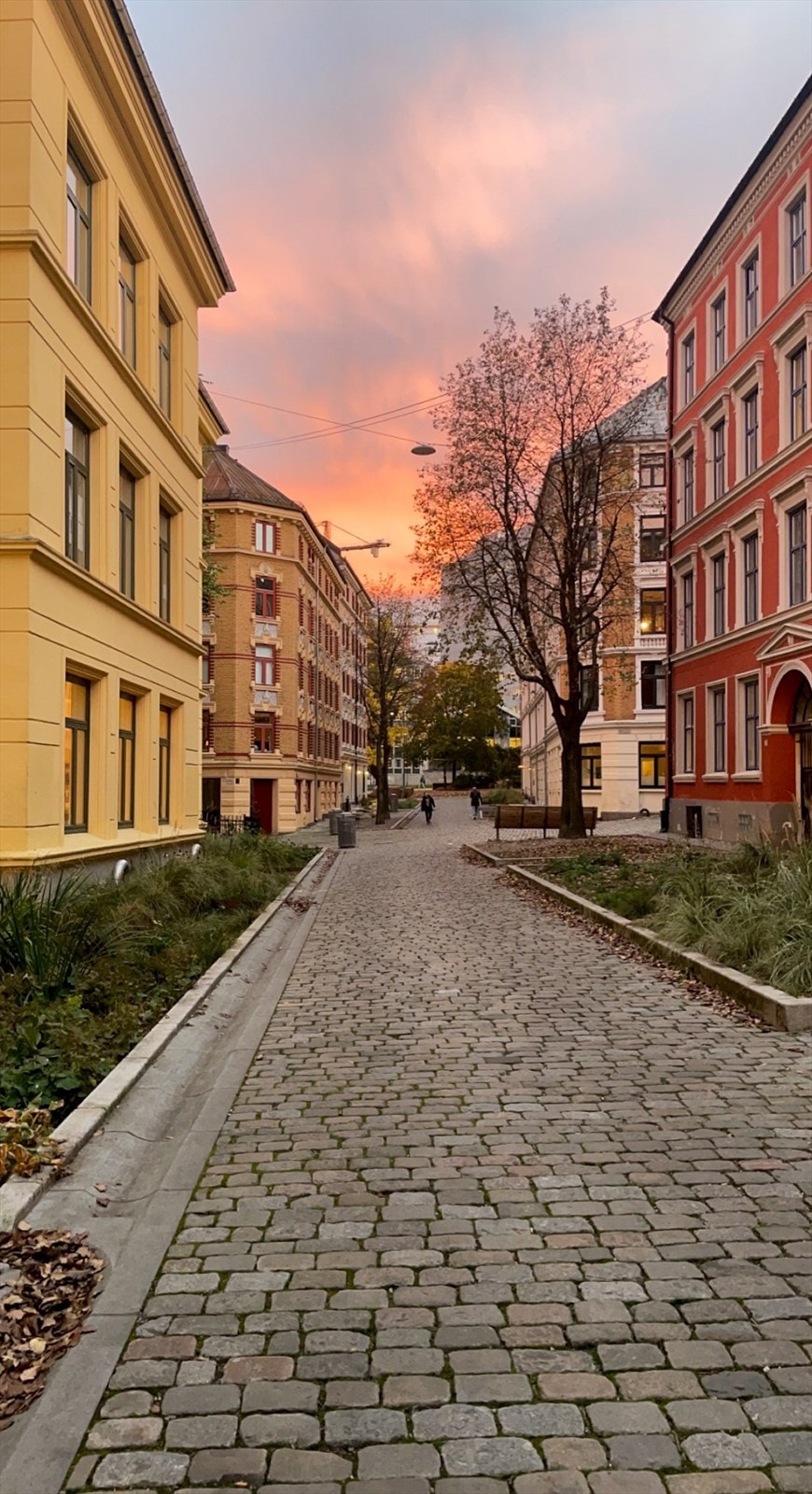 Områdebilde. Galleribilde