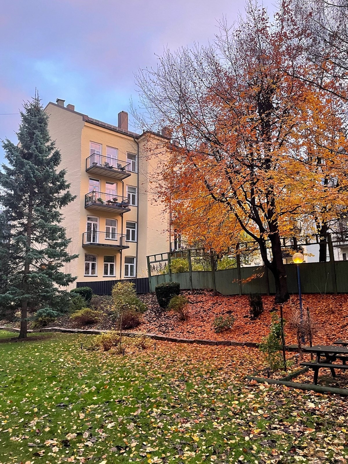 Selgers bakgårdsbilde. Galleribilde